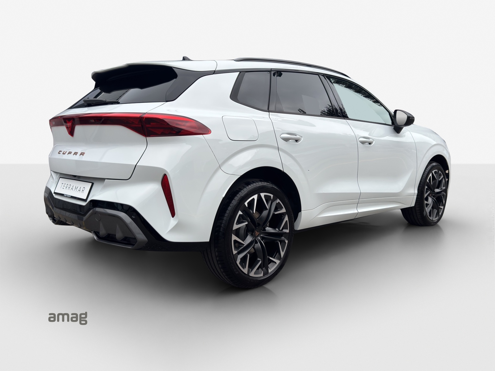 CUPRA Terramar 2.0 TSI DSG 4Drive-image-4