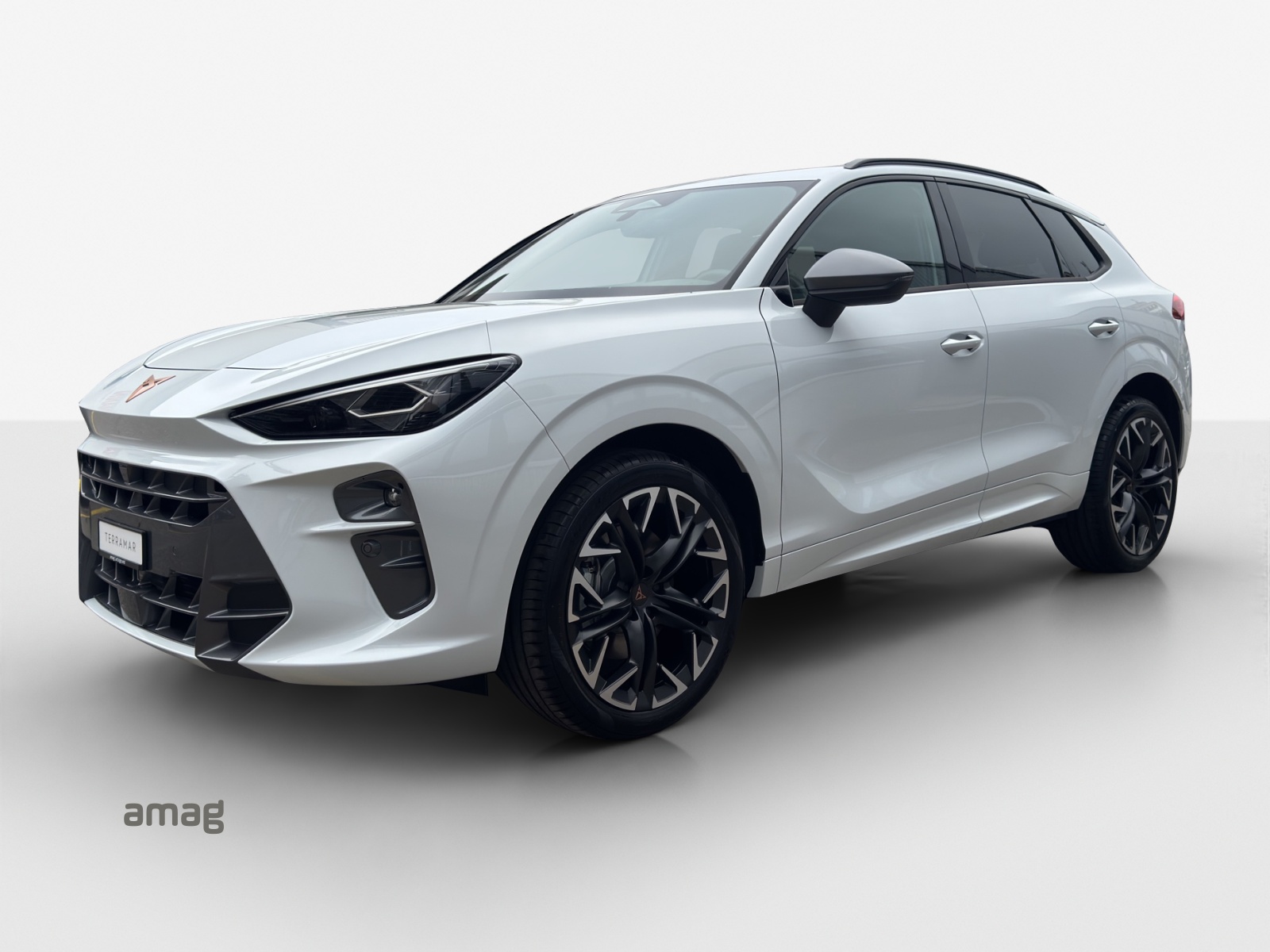 CUPRA Terramar 2.0 TSI DSG 4Drive-image-0