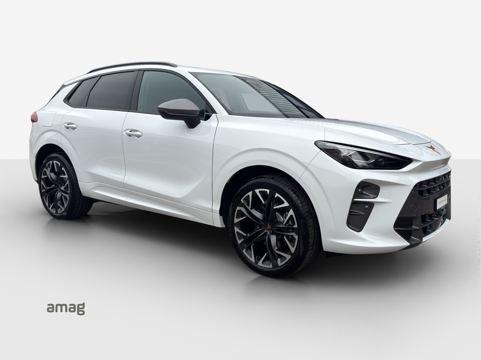 CUPRA Terramar 2.0 TSI DSG 4Drive-image-5