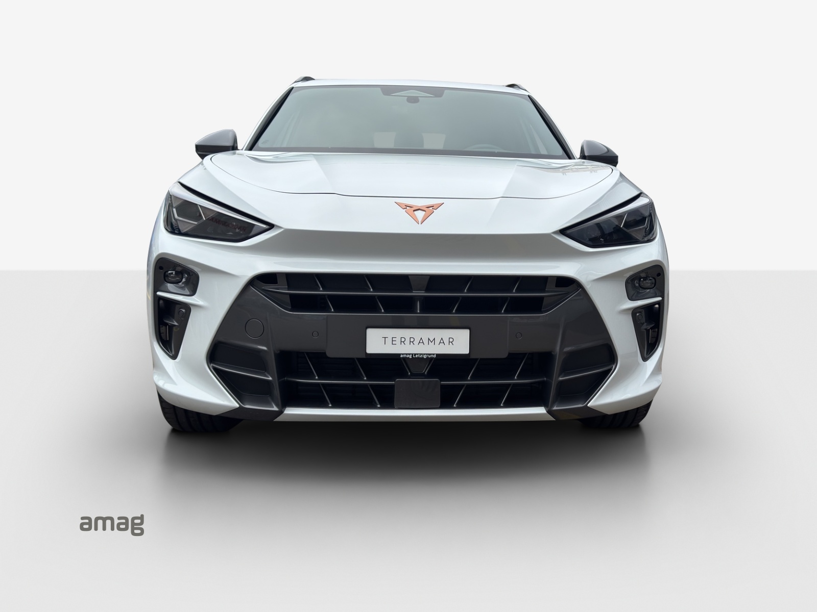 CUPRA Terramar 2.0 TSI DSG 4Drive-image-6