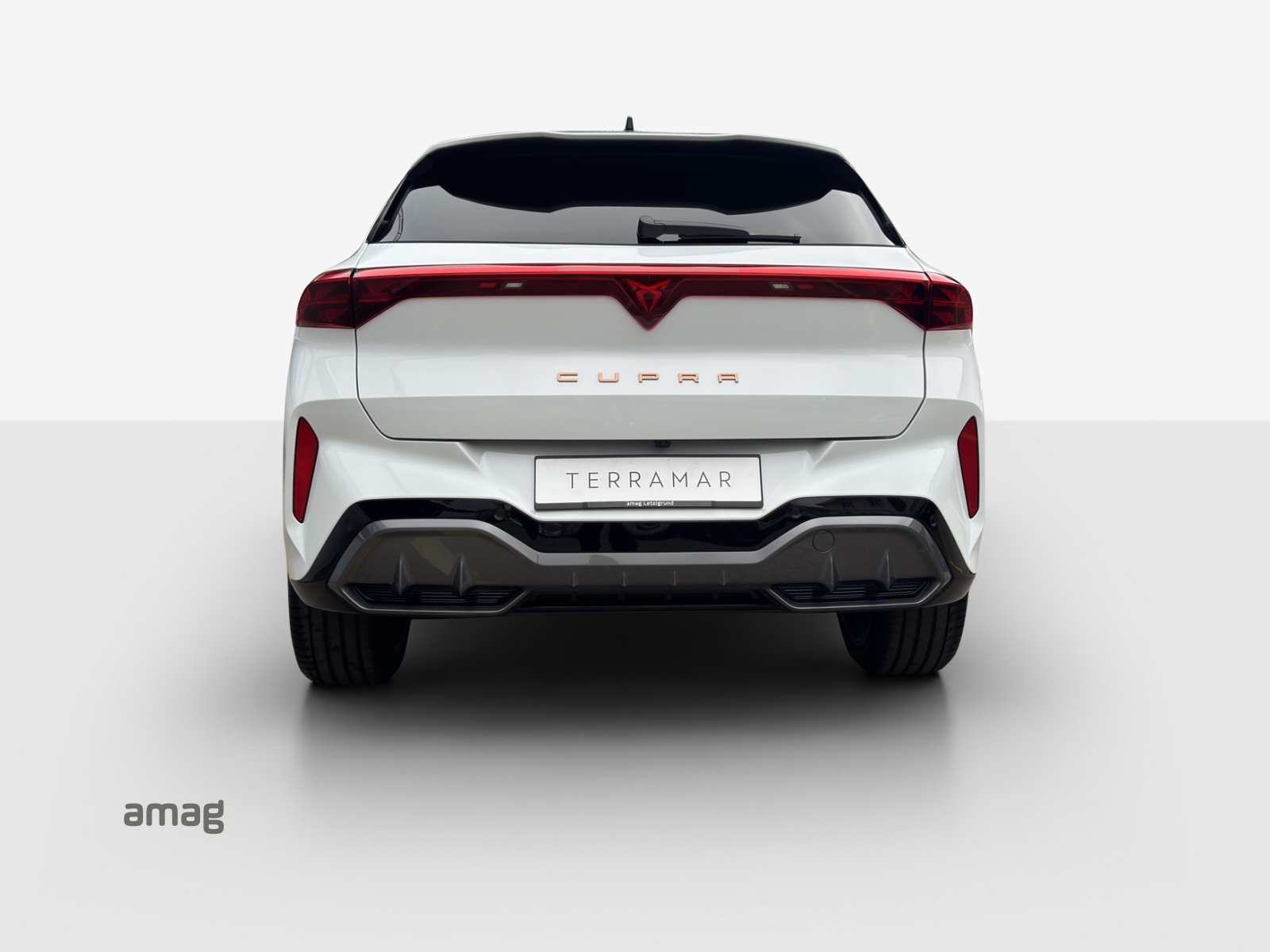 CUPRA Terramar 2.0 TSI DSG 4Drive-image-3