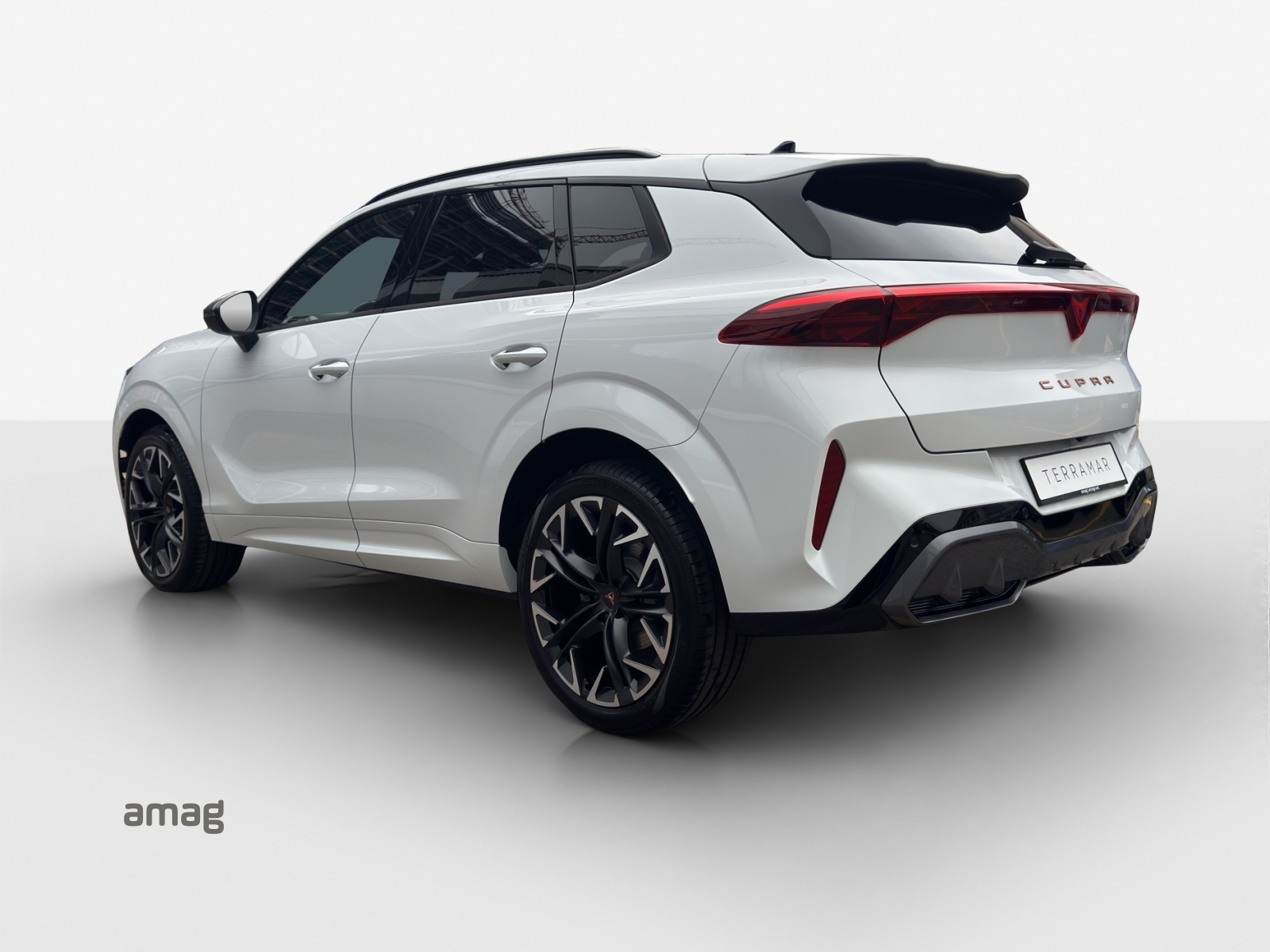 CUPRA Terramar 2.0 TSI DSG 4Drive-image-2