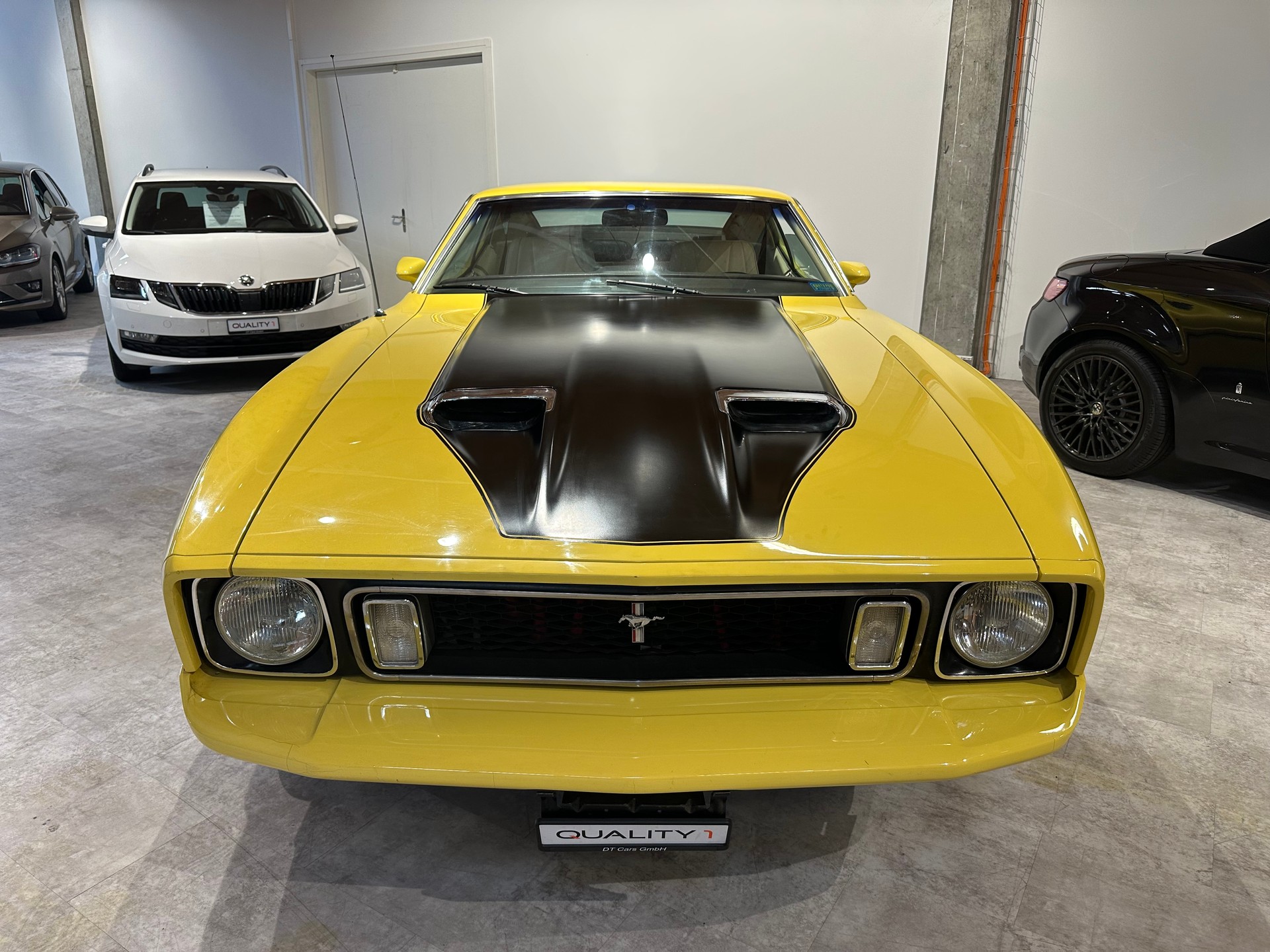 FORD Mustang Mach1 351/Frisch Veteranengeprüft/Motor hat 2000 km/Chassies/Aufhängung wie Motor komplett neu aufgebaut!