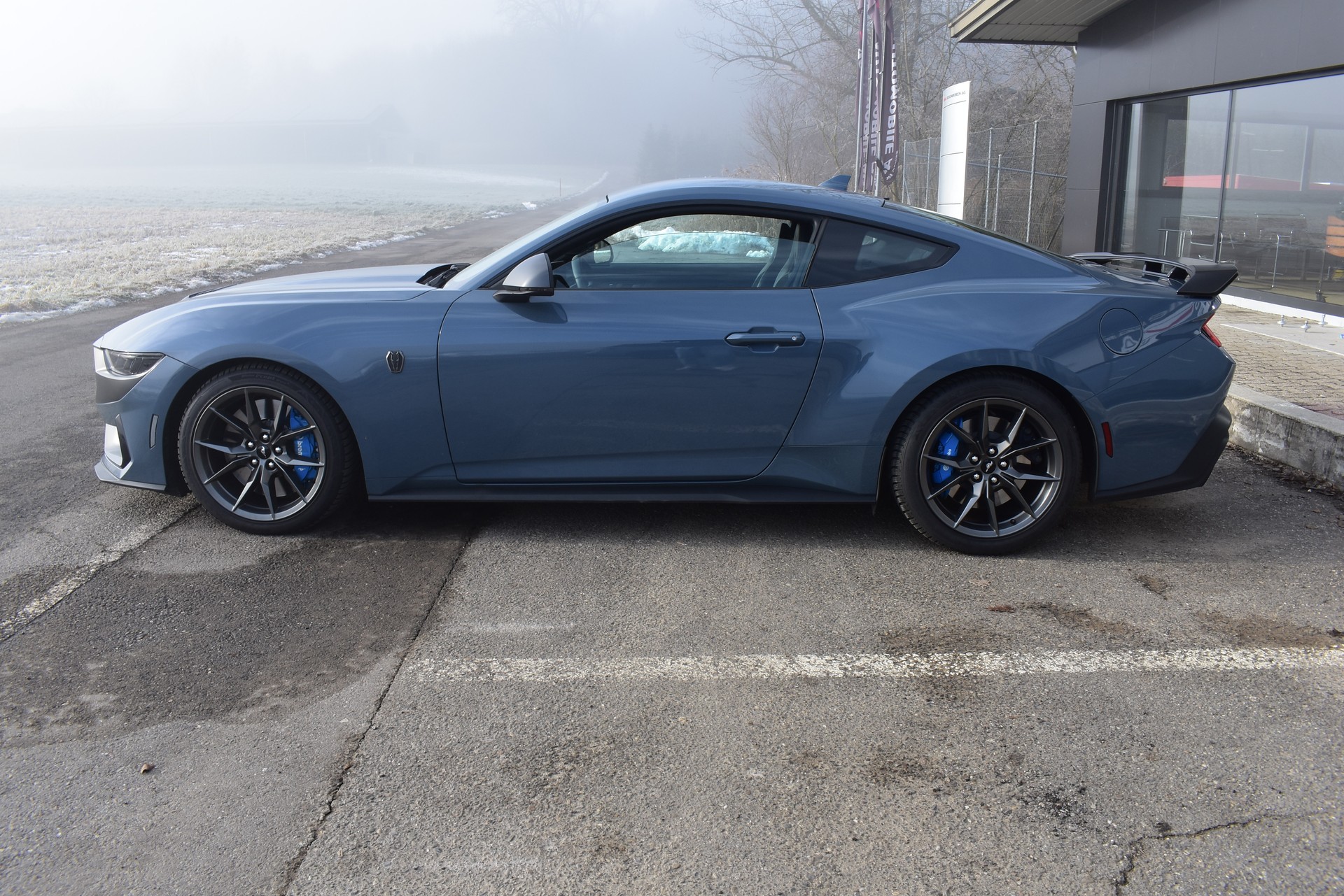 FORD Mustang Fastback 5.0 V8 Dark Horse Automat-image-2