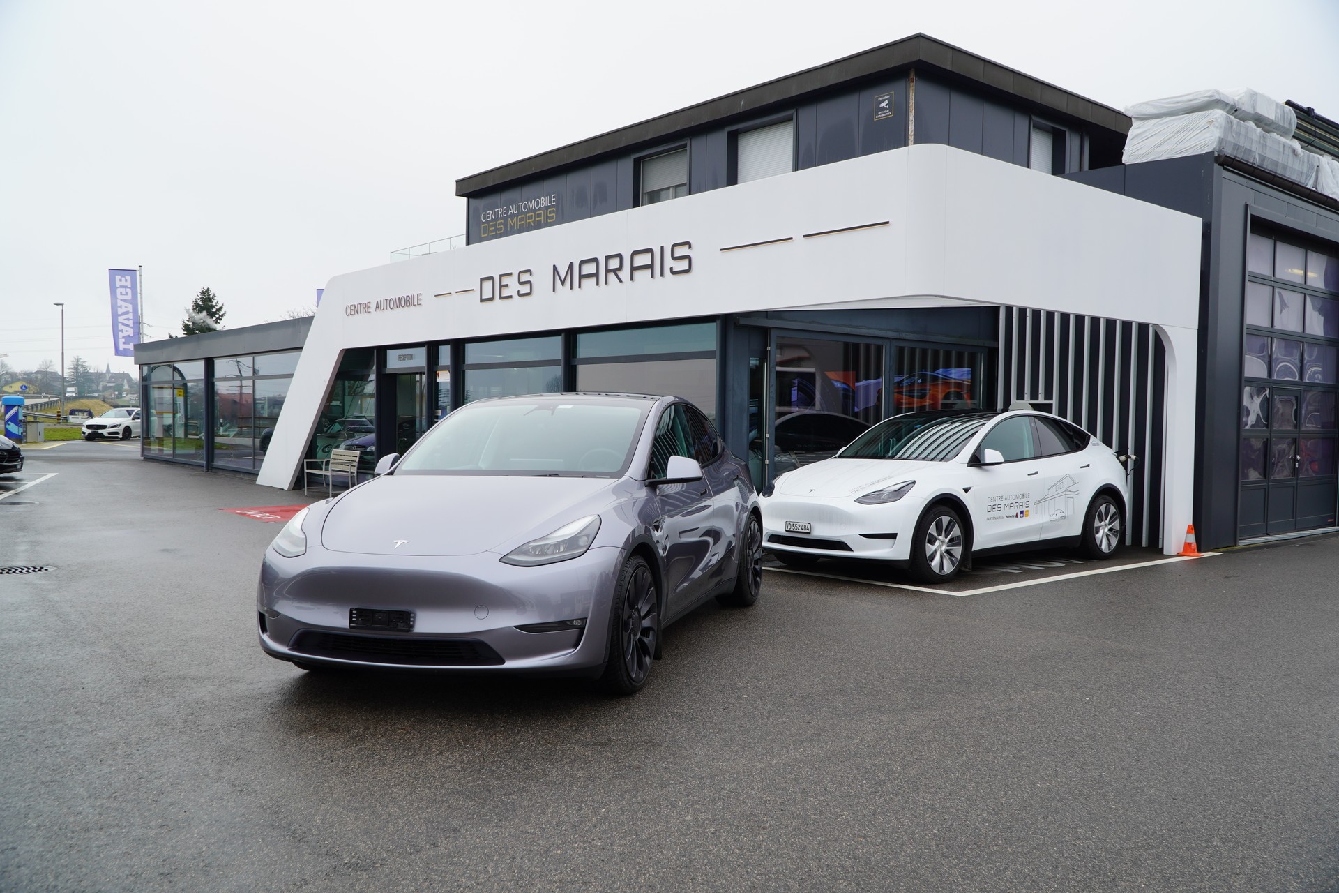 TESLA Model Y Performance Dual Motor-image-2