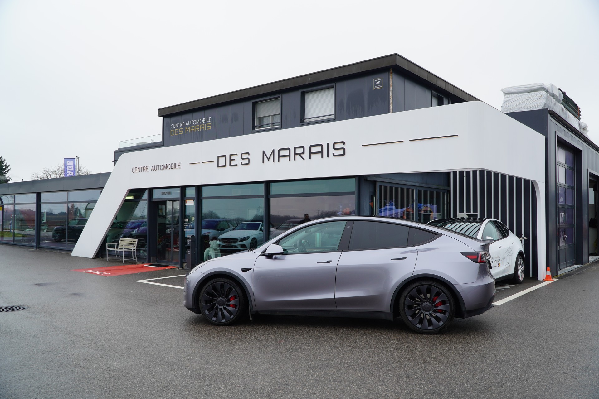 TESLA Model Y Performance Dual Motor-image-4