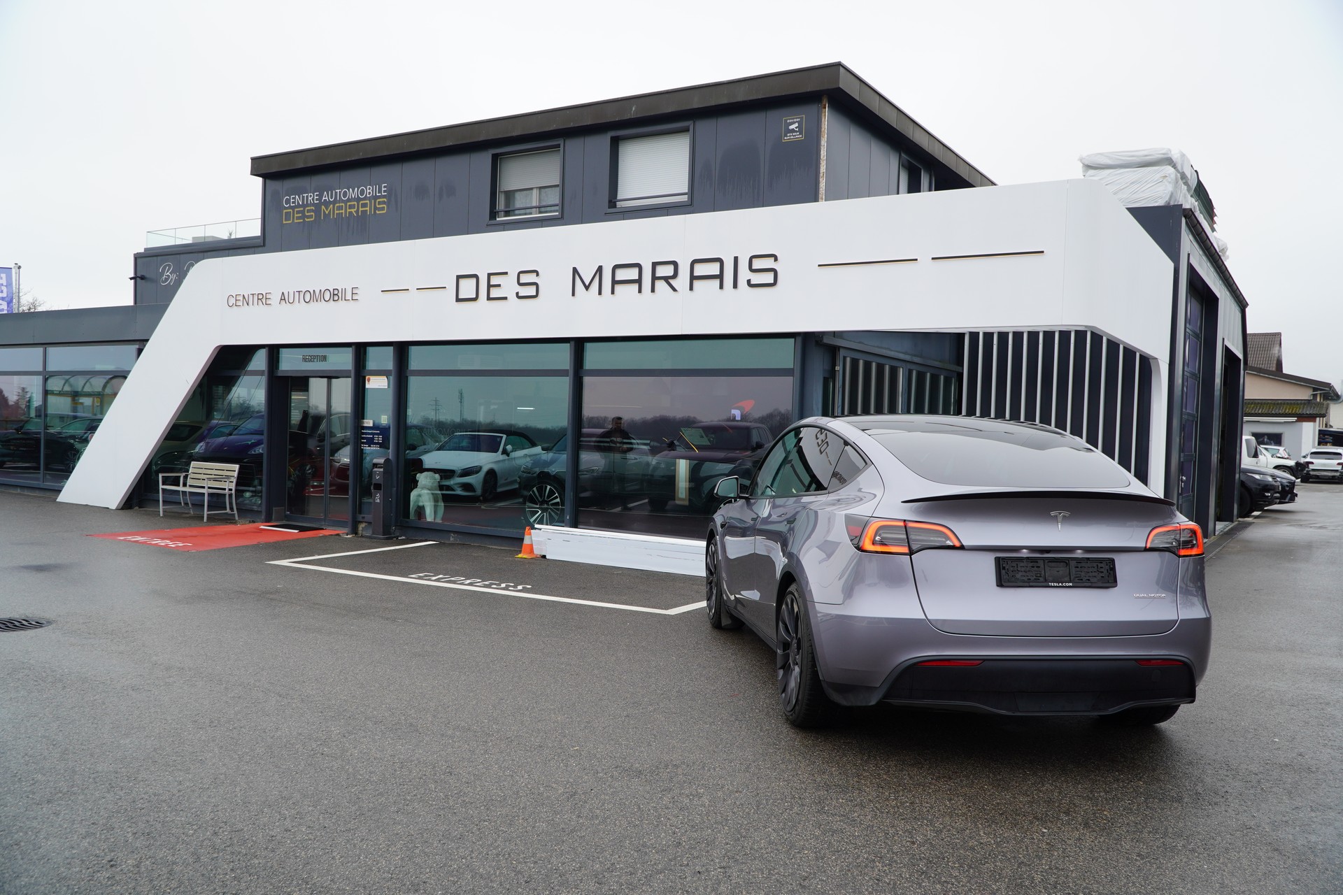 TESLA Model Y Performance Dual Motor-image-6
