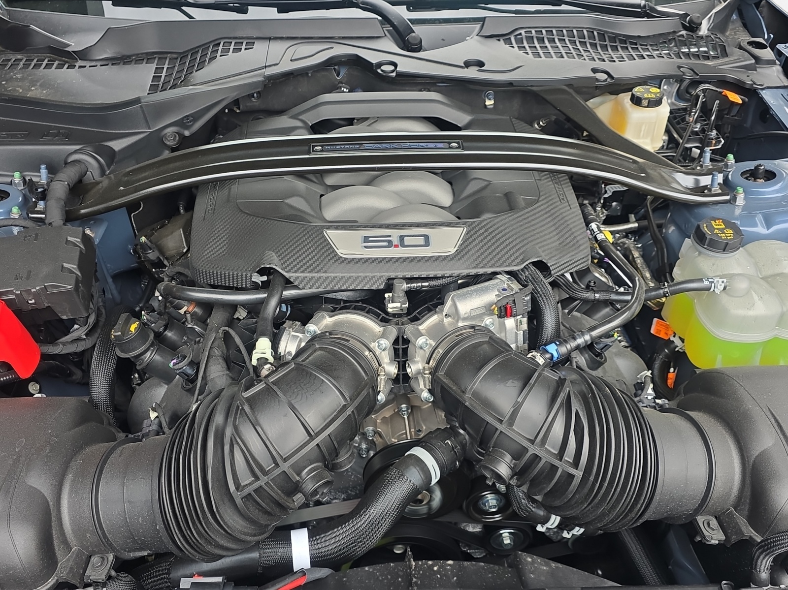 FORD Mustang Fastback 5.0 V8 Dark Horse-image-9