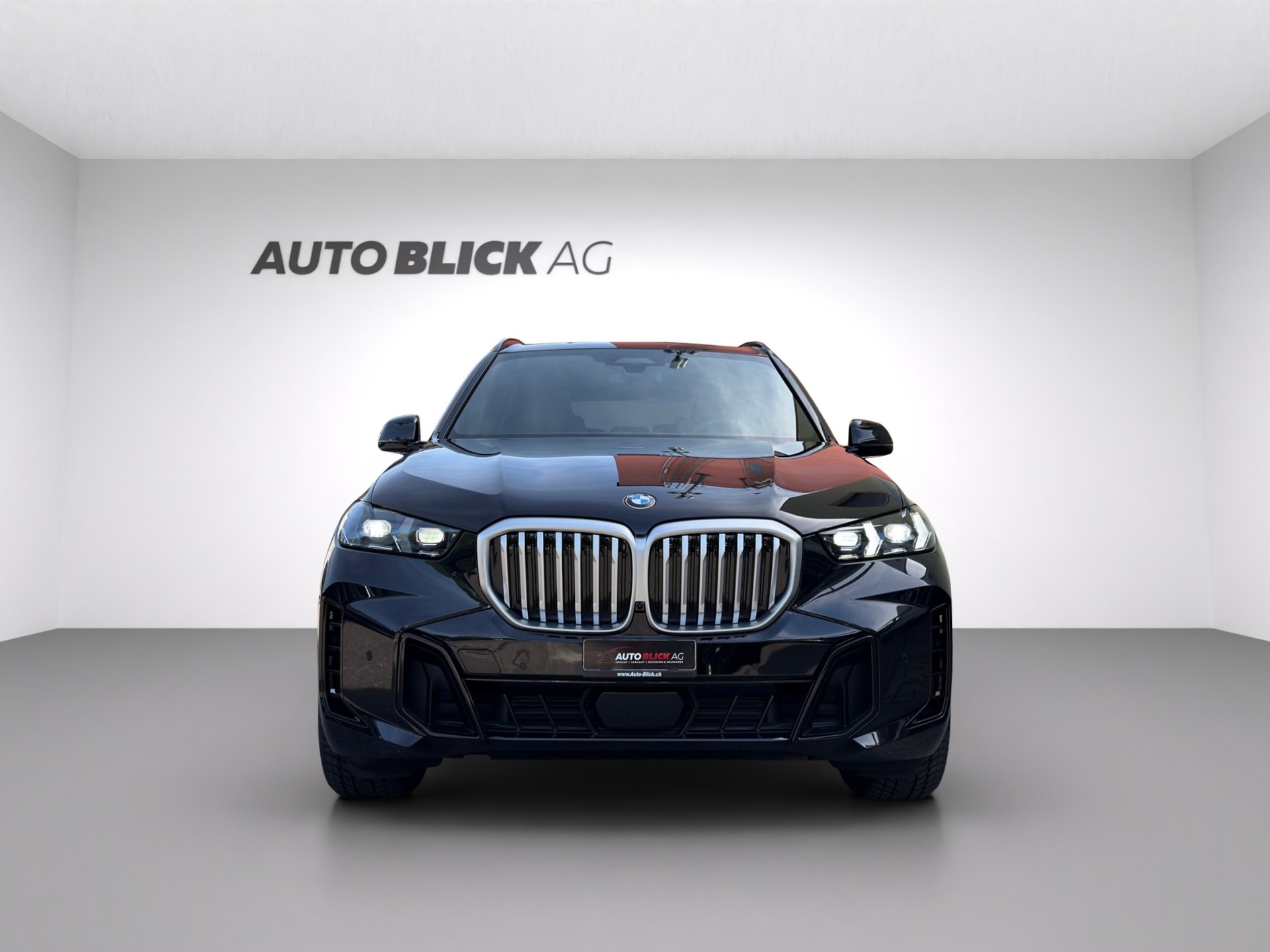 BMW X5 xDrive 48V 30d M Sport Steptronic-showroom-element-2