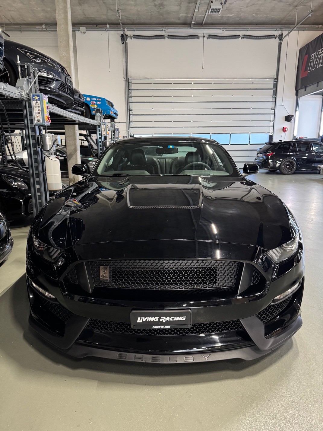 FORD Mustang Shelby GT350 *track pack*-image-5