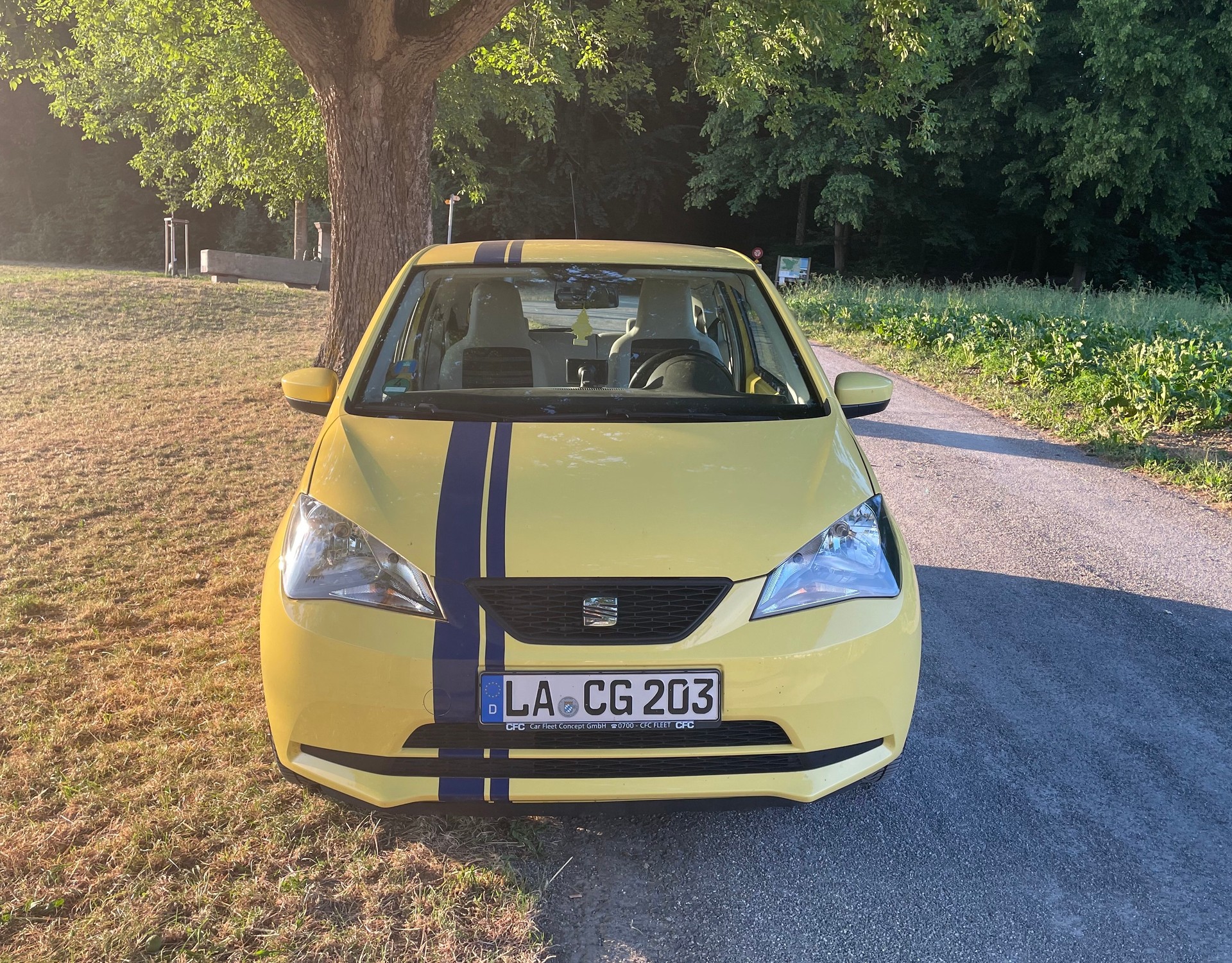 SEAT MII
