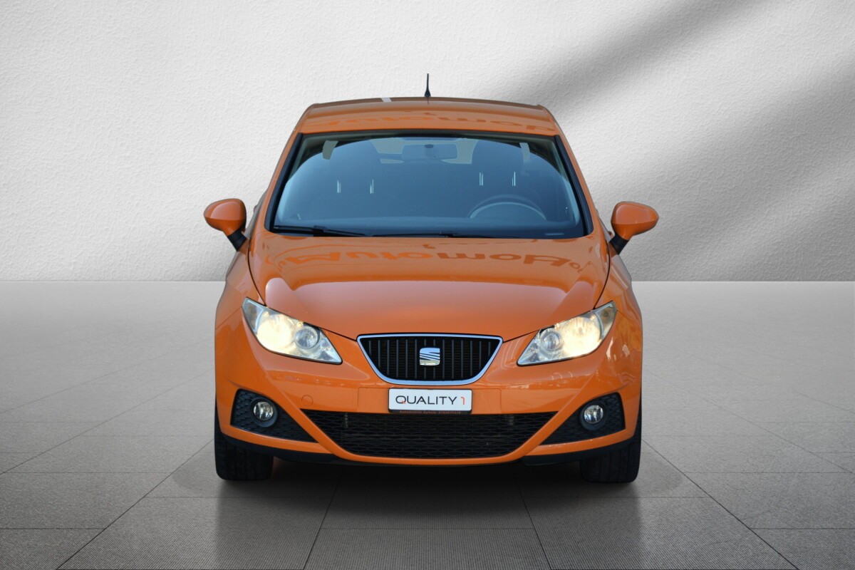 SEAT Ibiza 1.9 TDI Sport-image-2