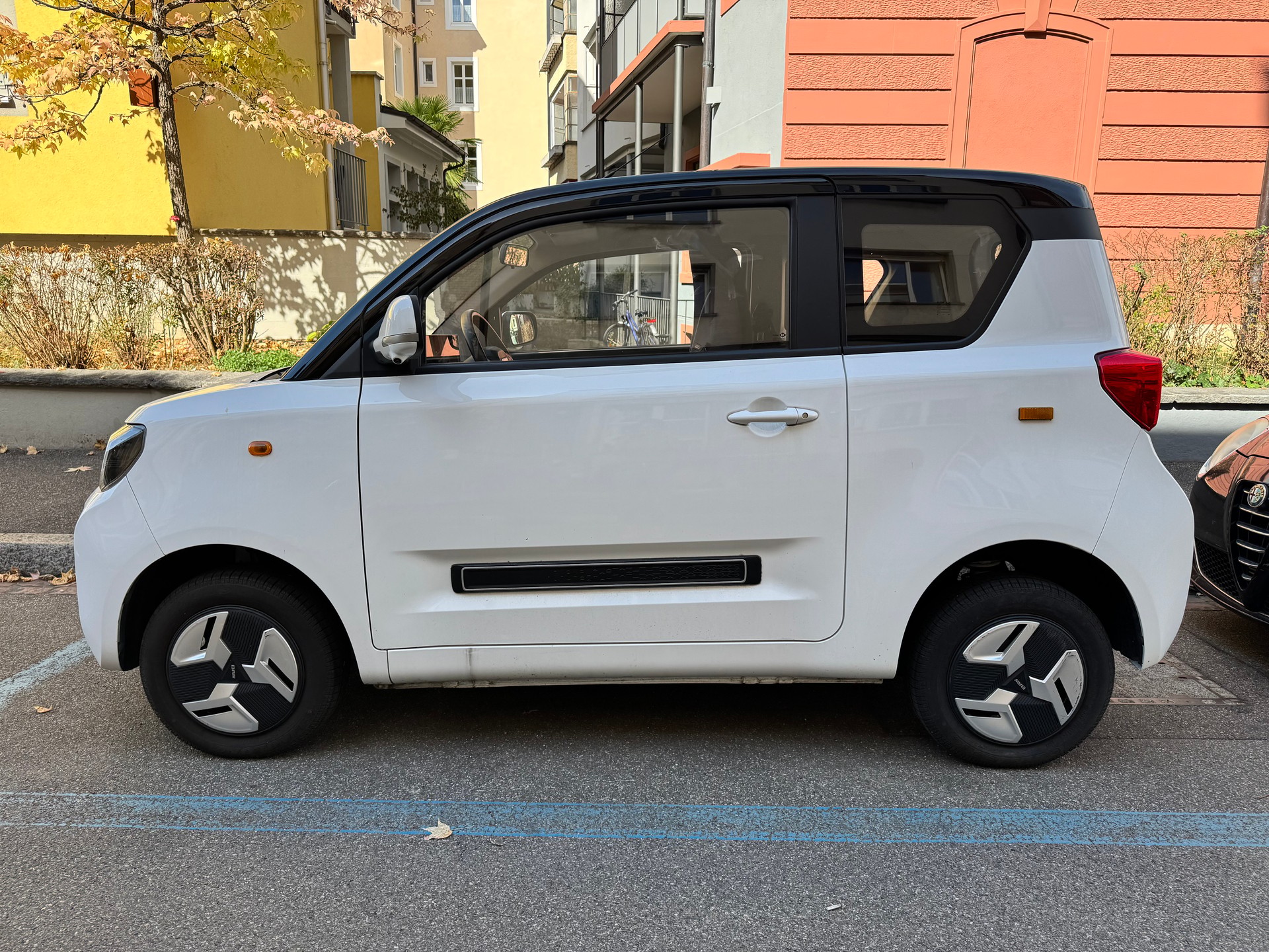 BAW Electric-image-2