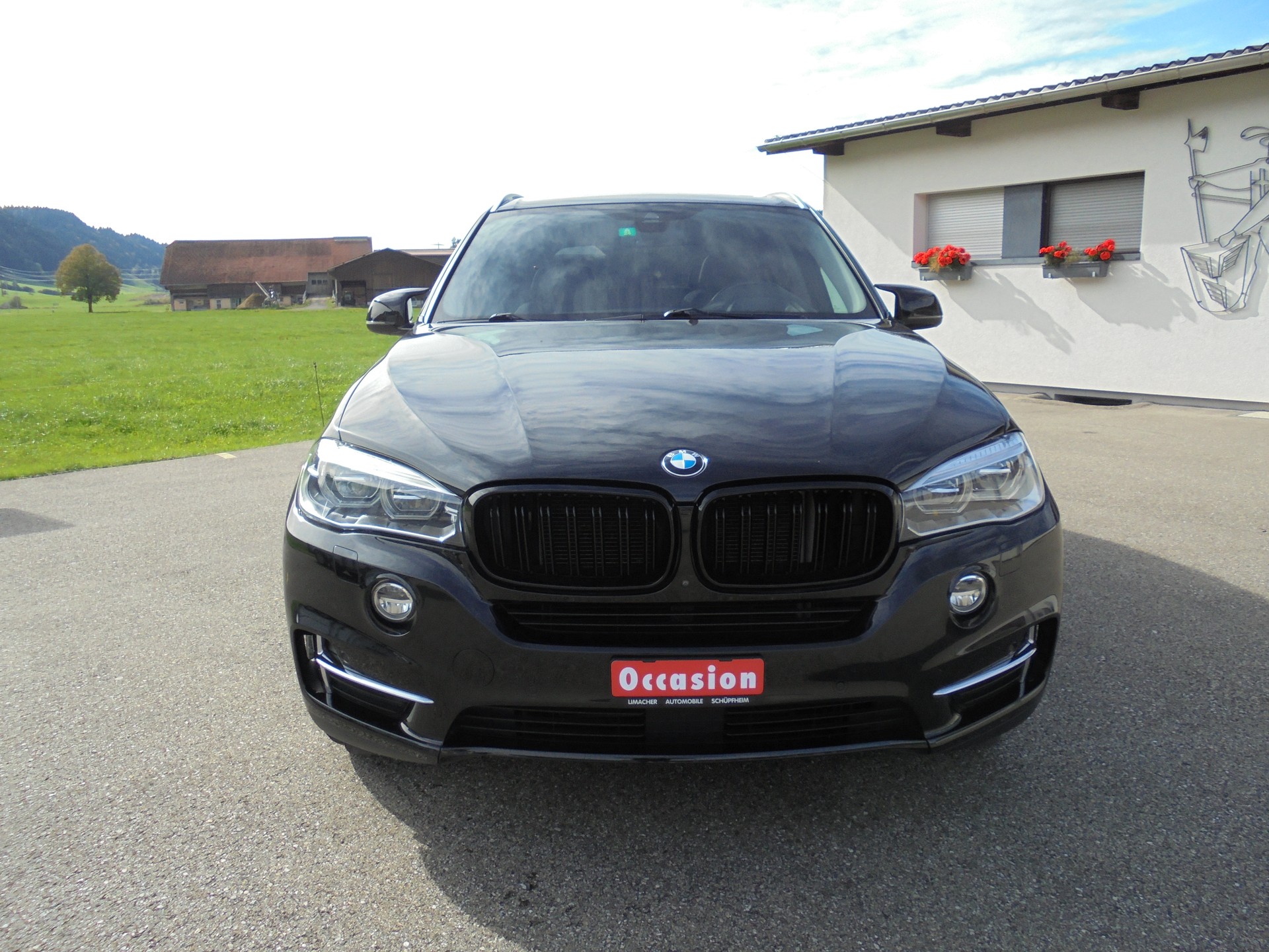 BMW X5 xDrive 30d Steptronic-showroom-element-1