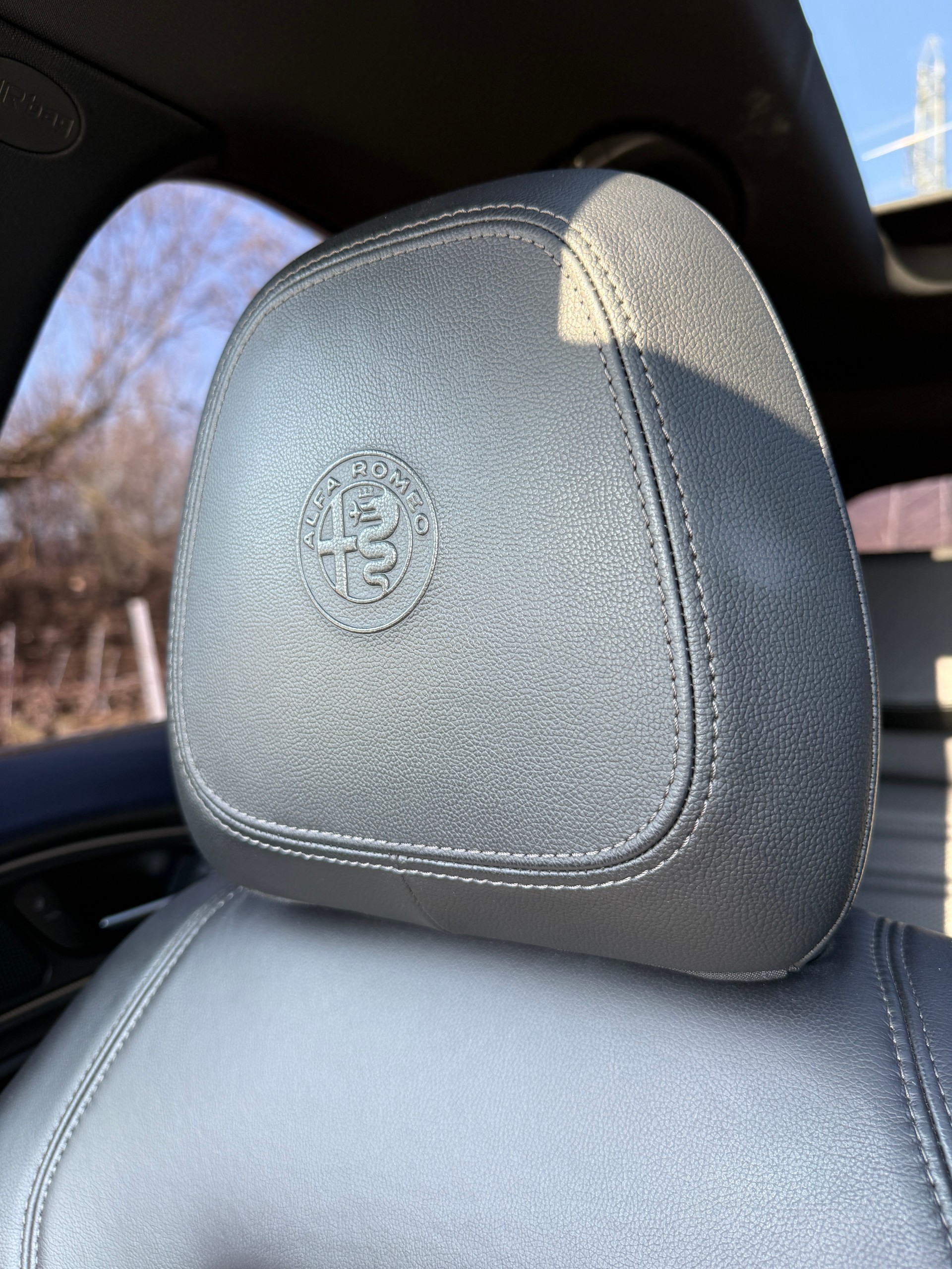 ALFA ROMEO Stelvio 2.0 Super Q4 Automatic-image-17