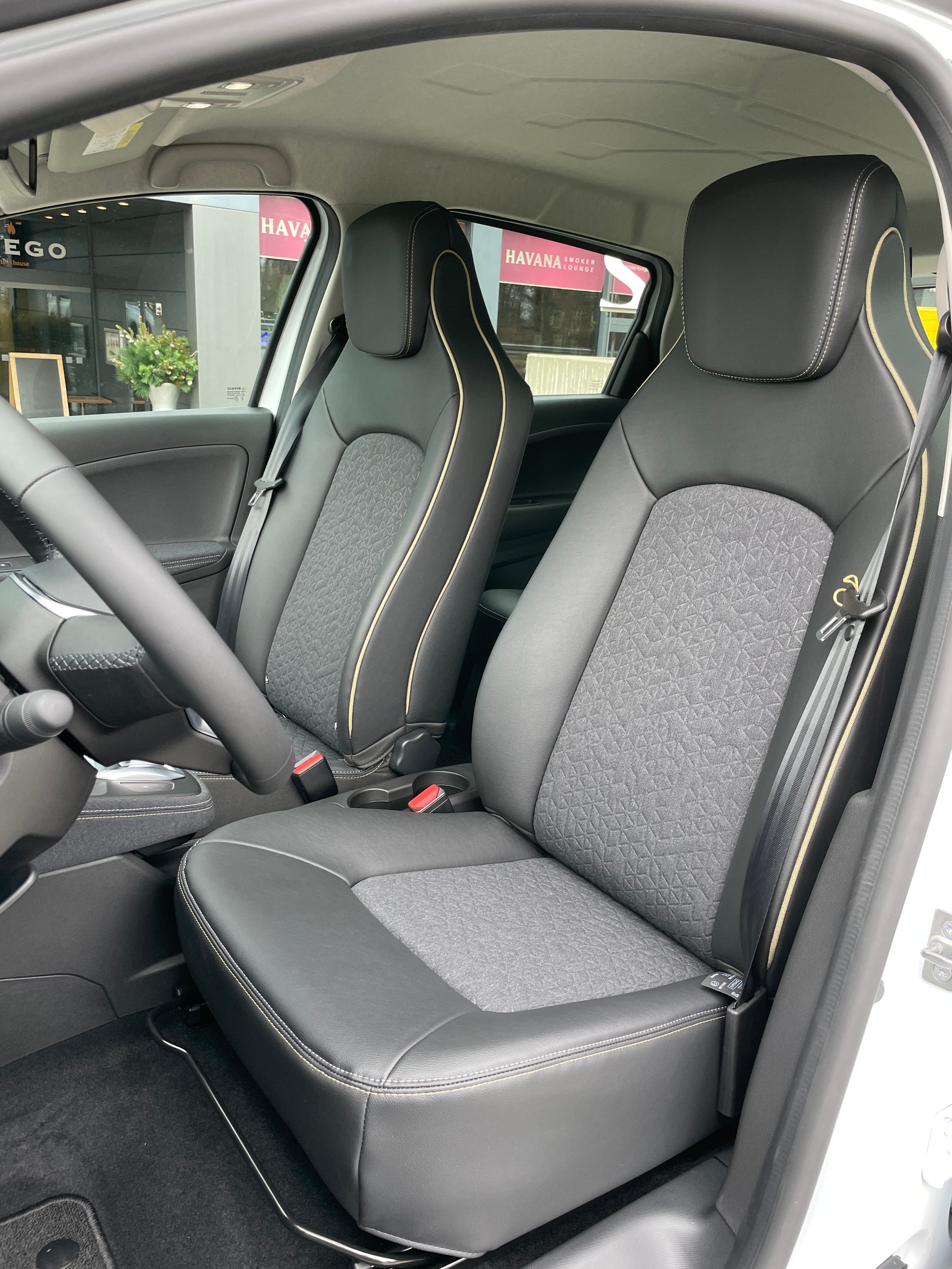 RENAULT Zoe R135 (incl. Batterie) Iconic-image-13
