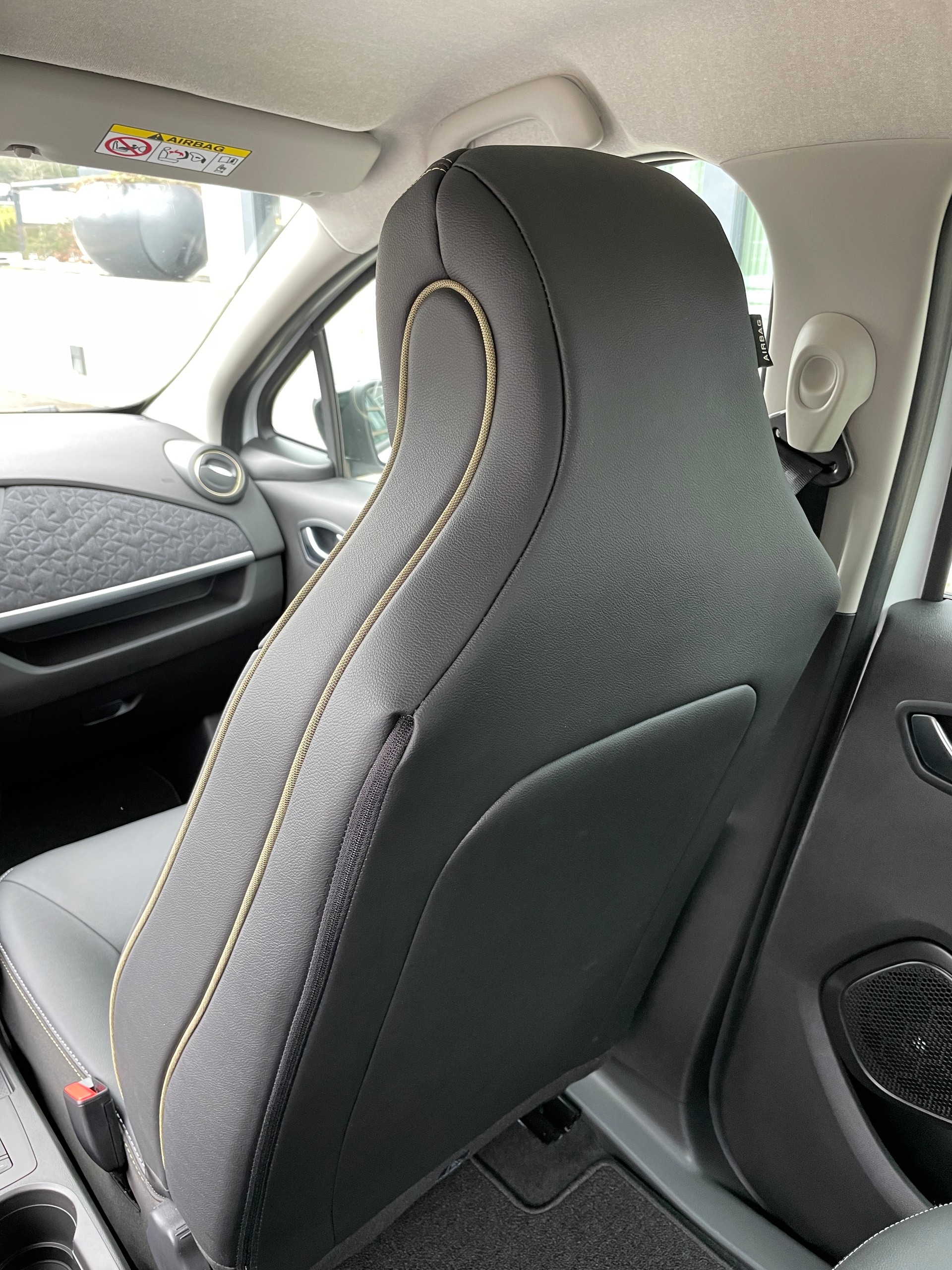RENAULT Zoe R135 (incl. Batterie) Iconic-image-17