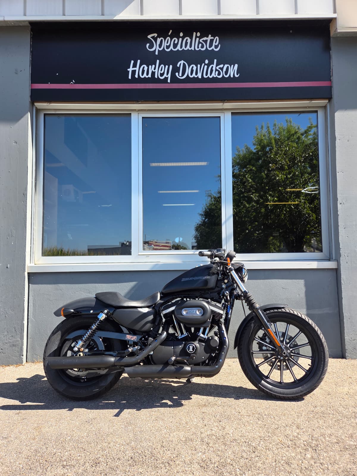 HARLEY-DAVIDSON XL 883 N Sportster Iron