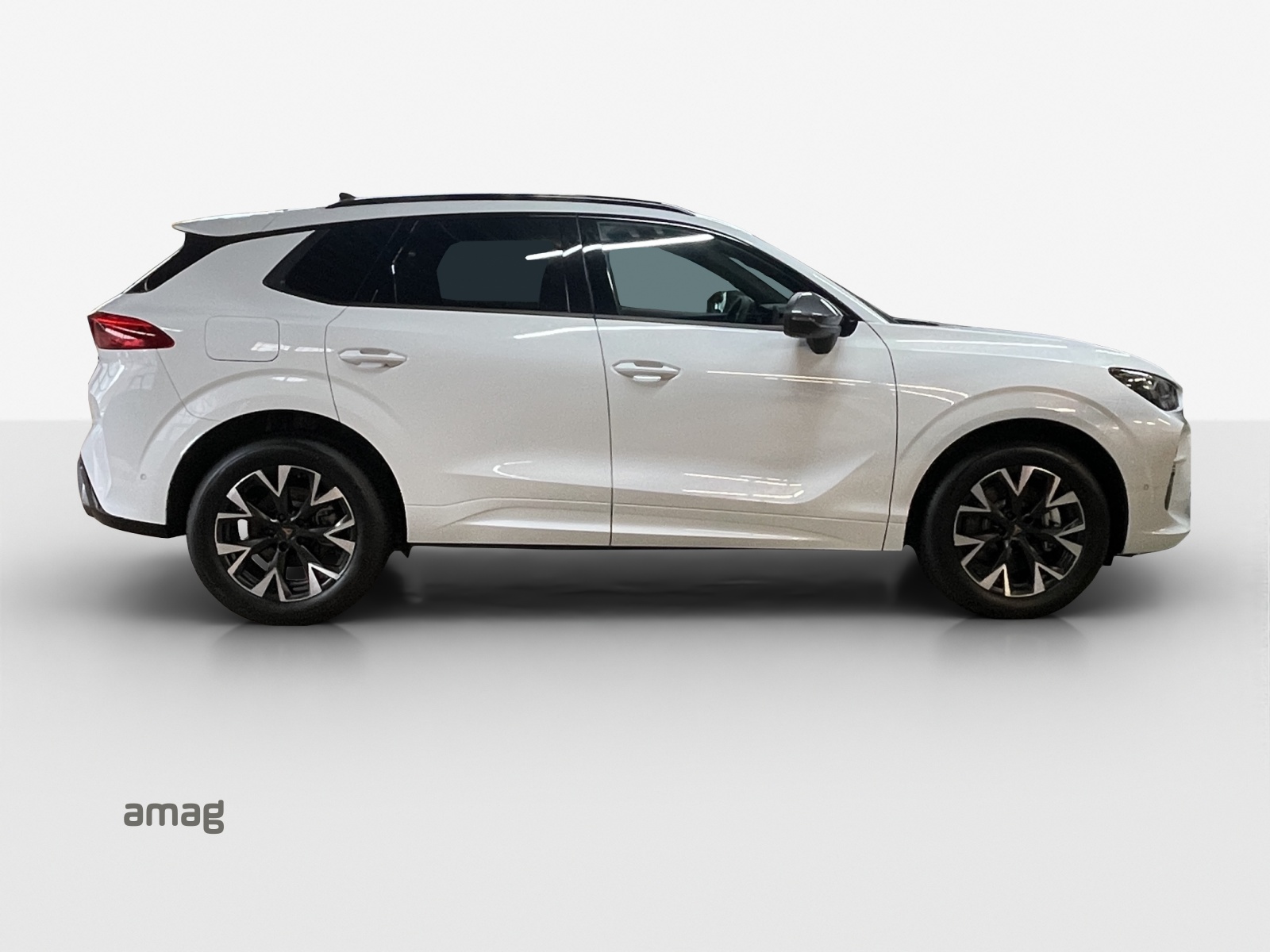 CUPRA Terramar 1.5 eHybrid DSG Business Edition-image-4