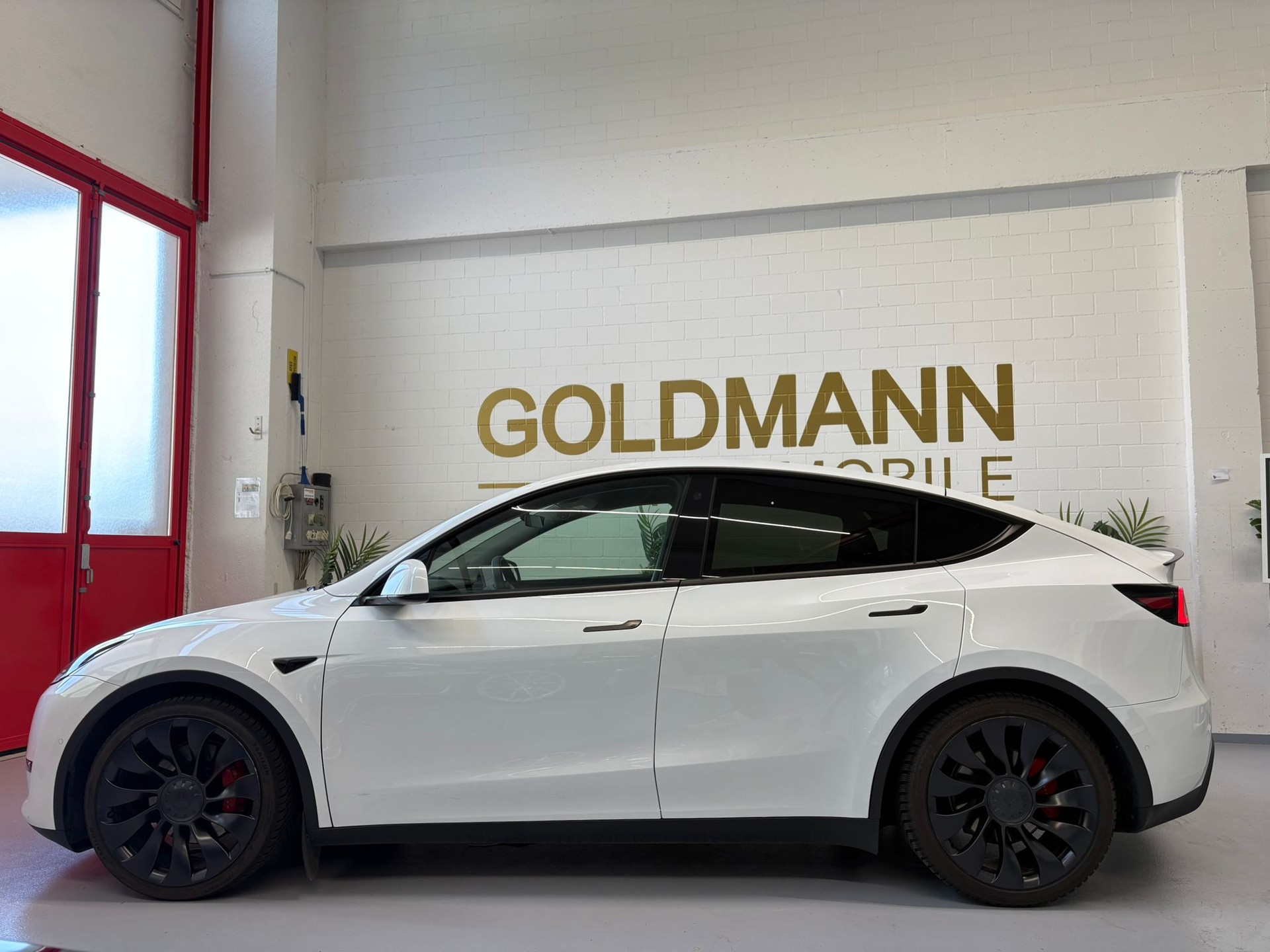 TESLA Model Y Long Range-image-1