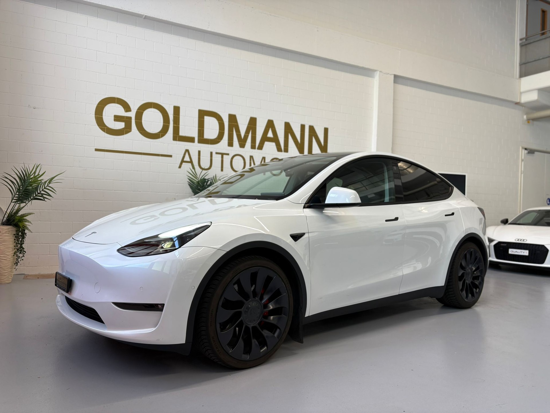 TESLA Model Y Long Range-image-0