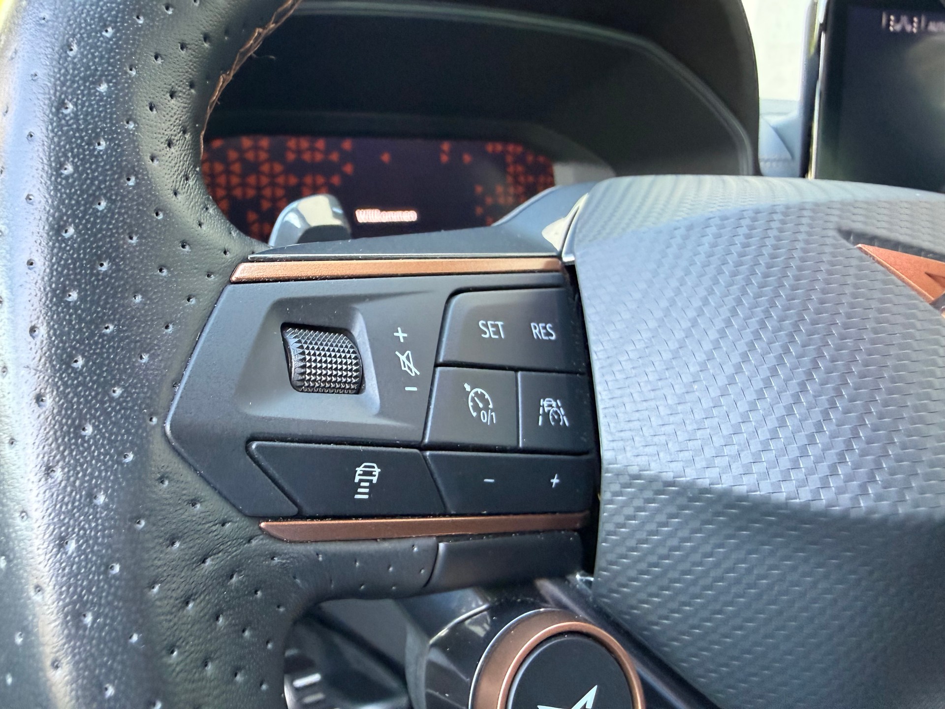 CUPRA LEON ST 2.0 TSI VZ DSG 4Drive-image-13