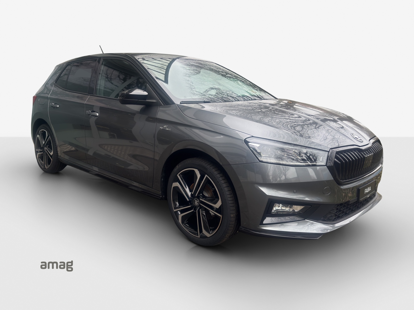 SKODA Fabia 1.0 TSI Monte Carlo DSG-image-3
