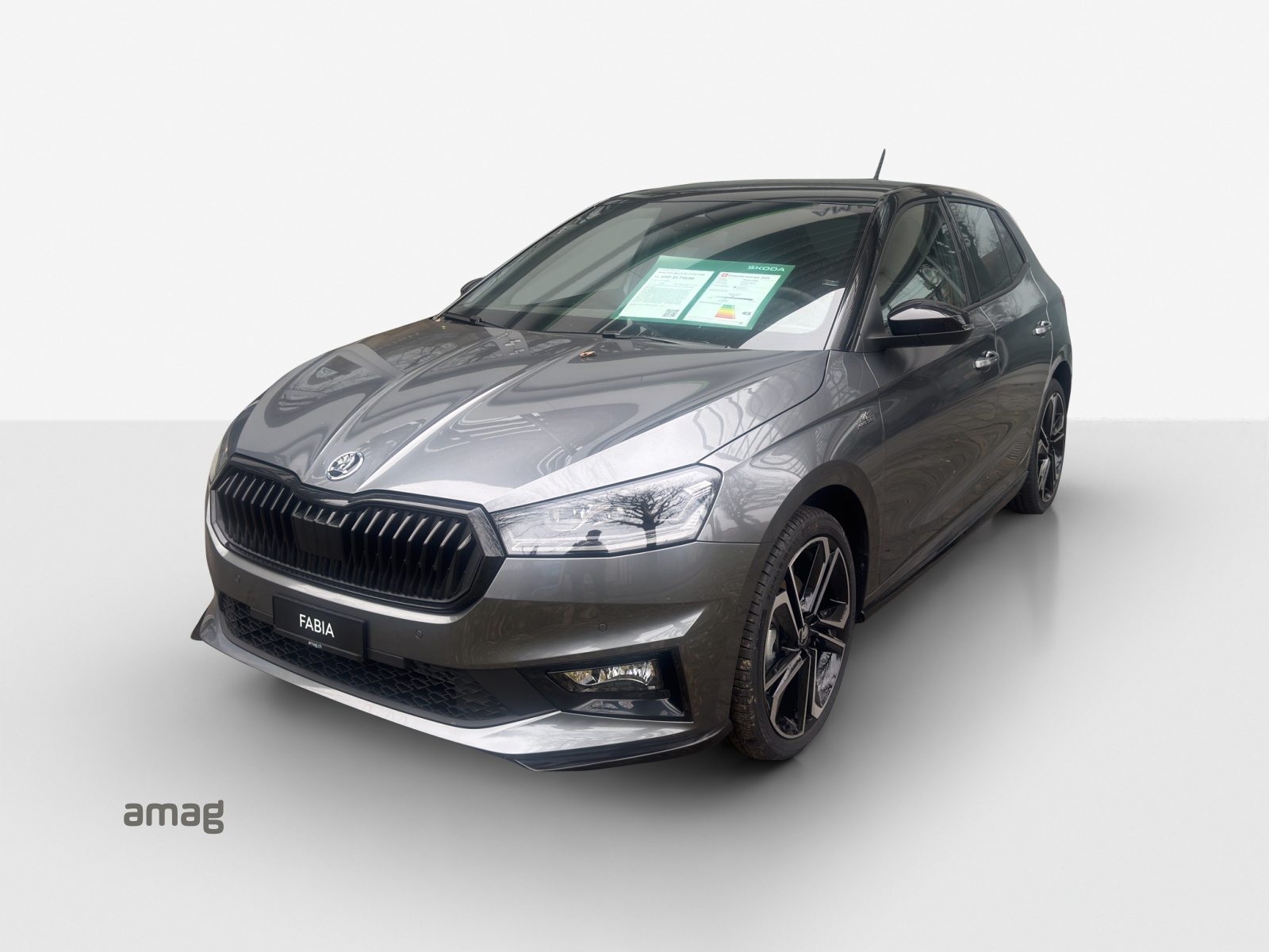 SKODA Fabia 1.0 TSI Monte Carlo DSG-image-0