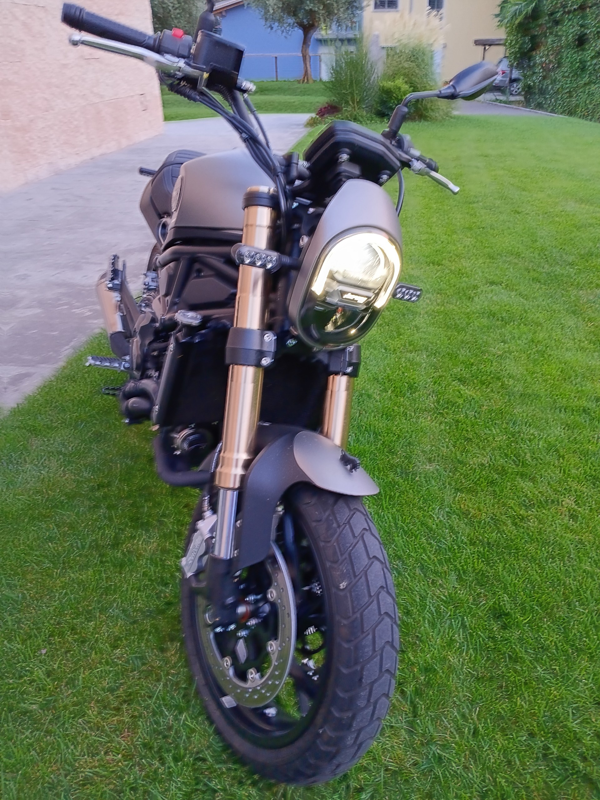 BENELLI Leoncino 800-image-5