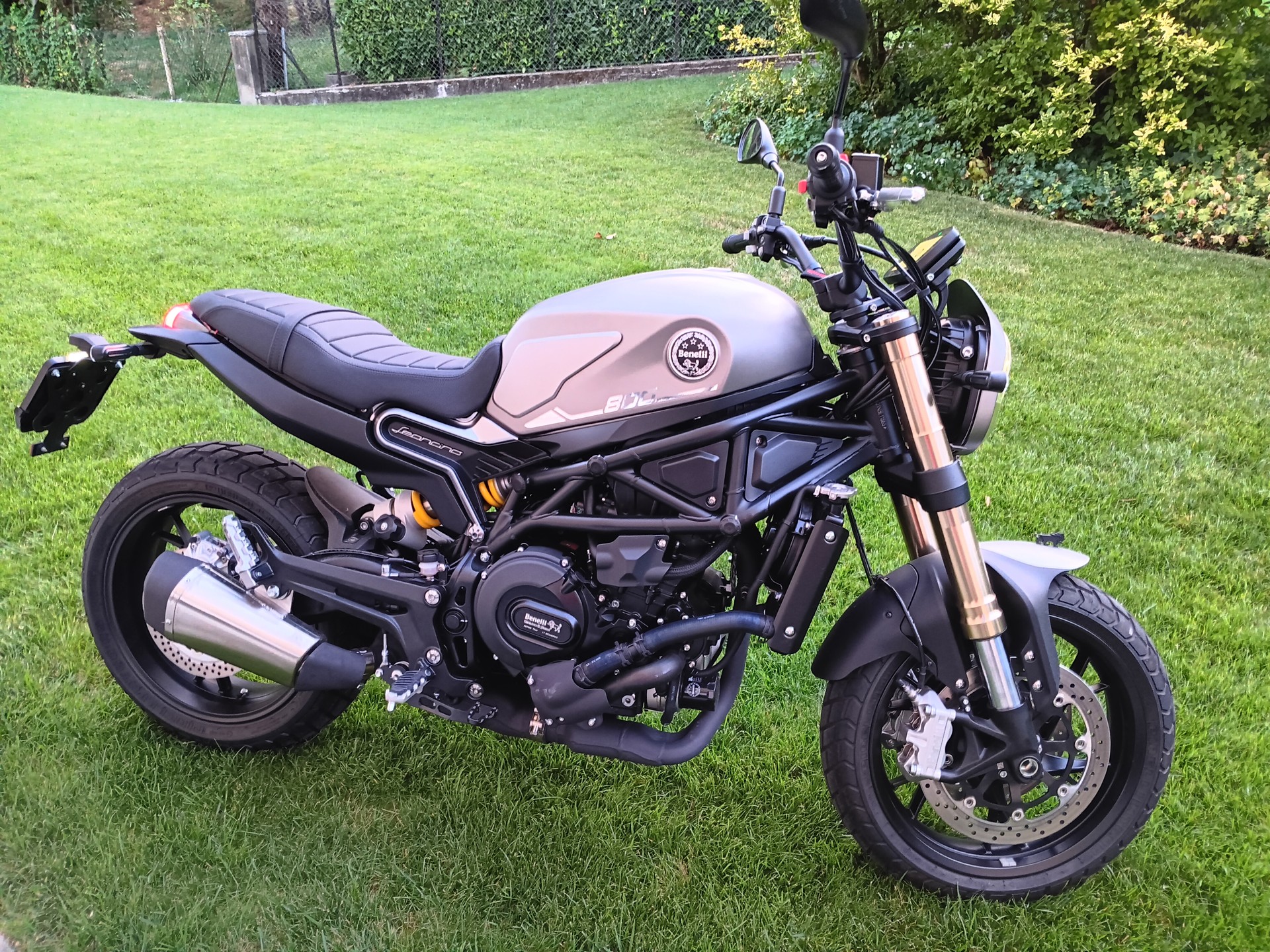 BENELLI Leoncino 800-image-3