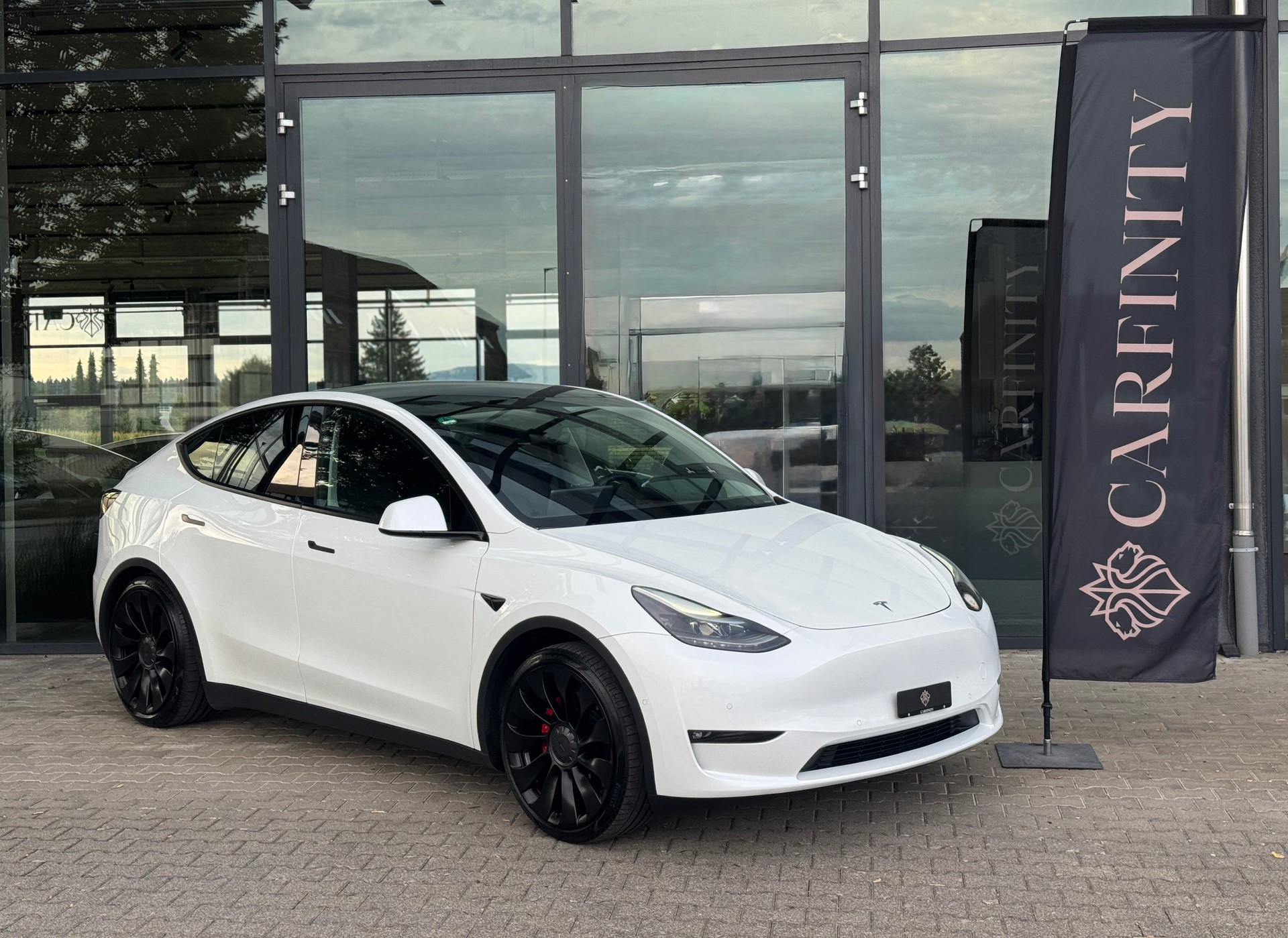 TESLA Model Y Performance / AMD Ryzen-image-0