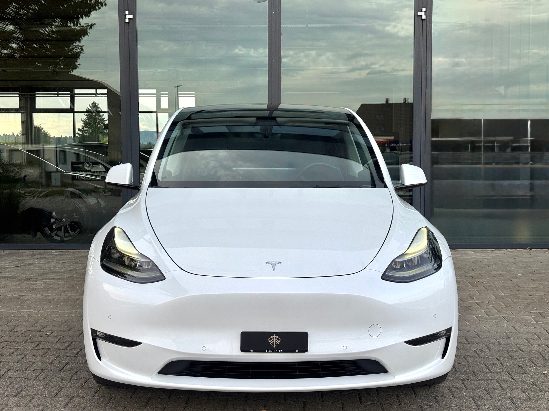 TESLA Model Y Performance / AMD Ryzen-image-1