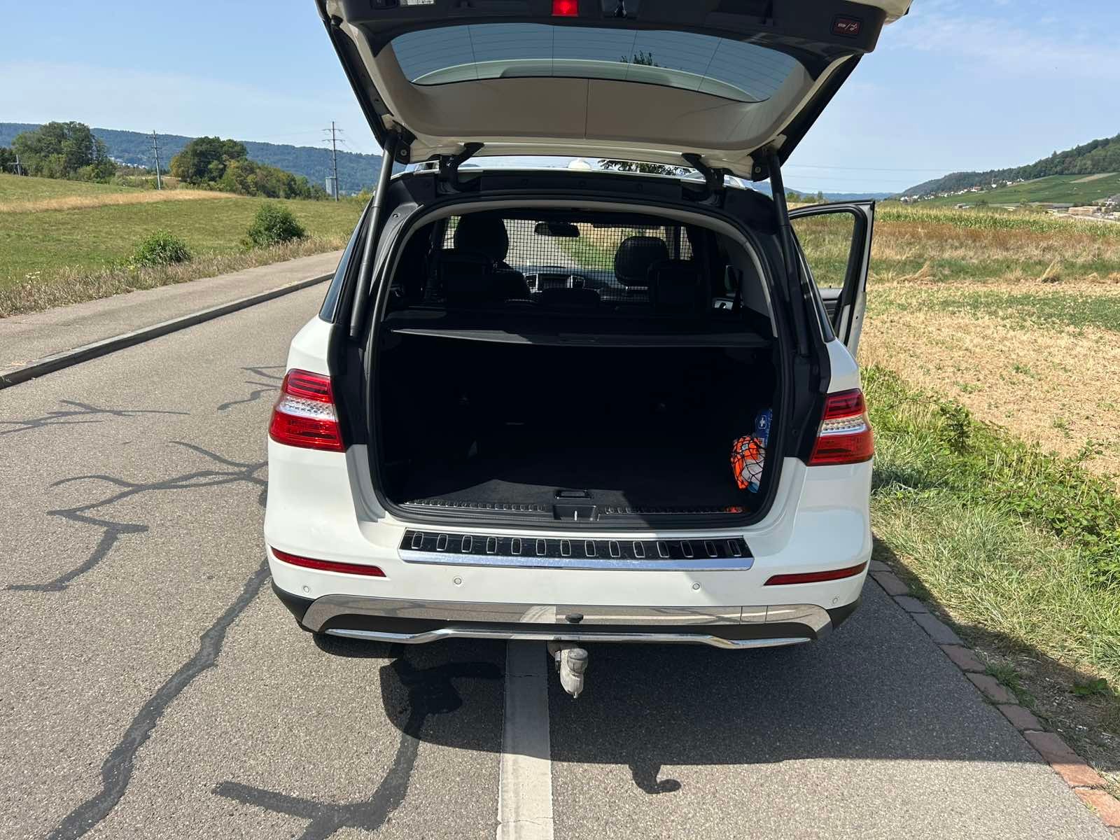 MERCEDES-BENZ ML 250 CDI BlueTec 4 Matic-image-2