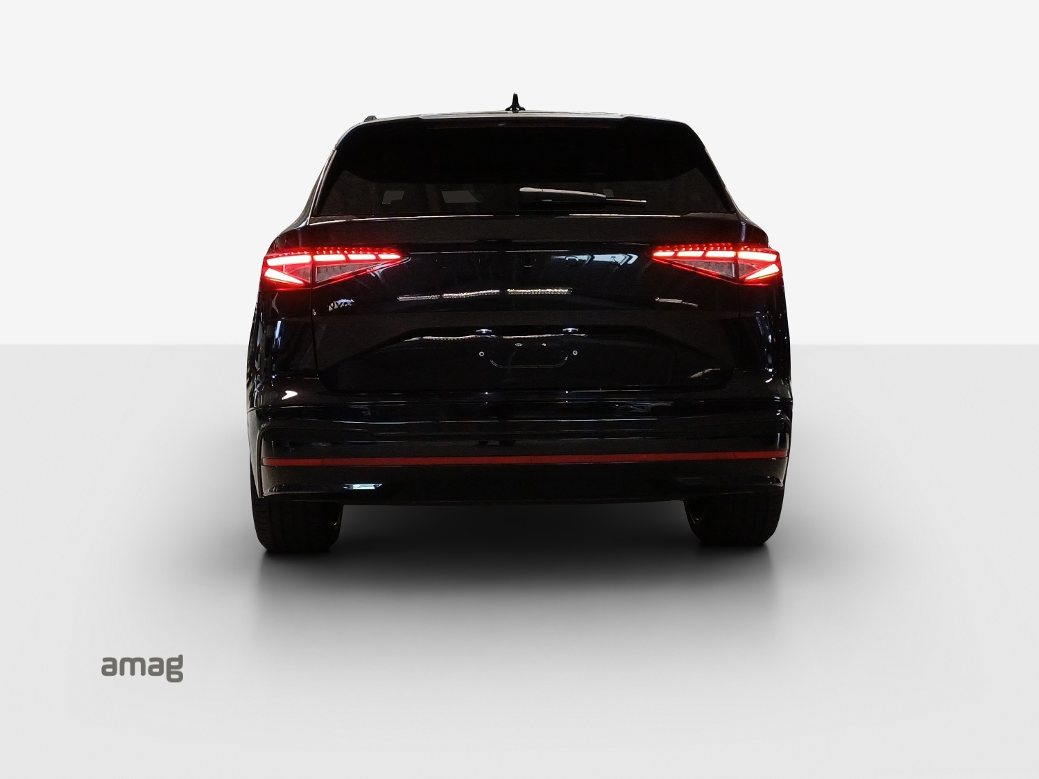 SKODA Enyaq 4x4 RS-image-3