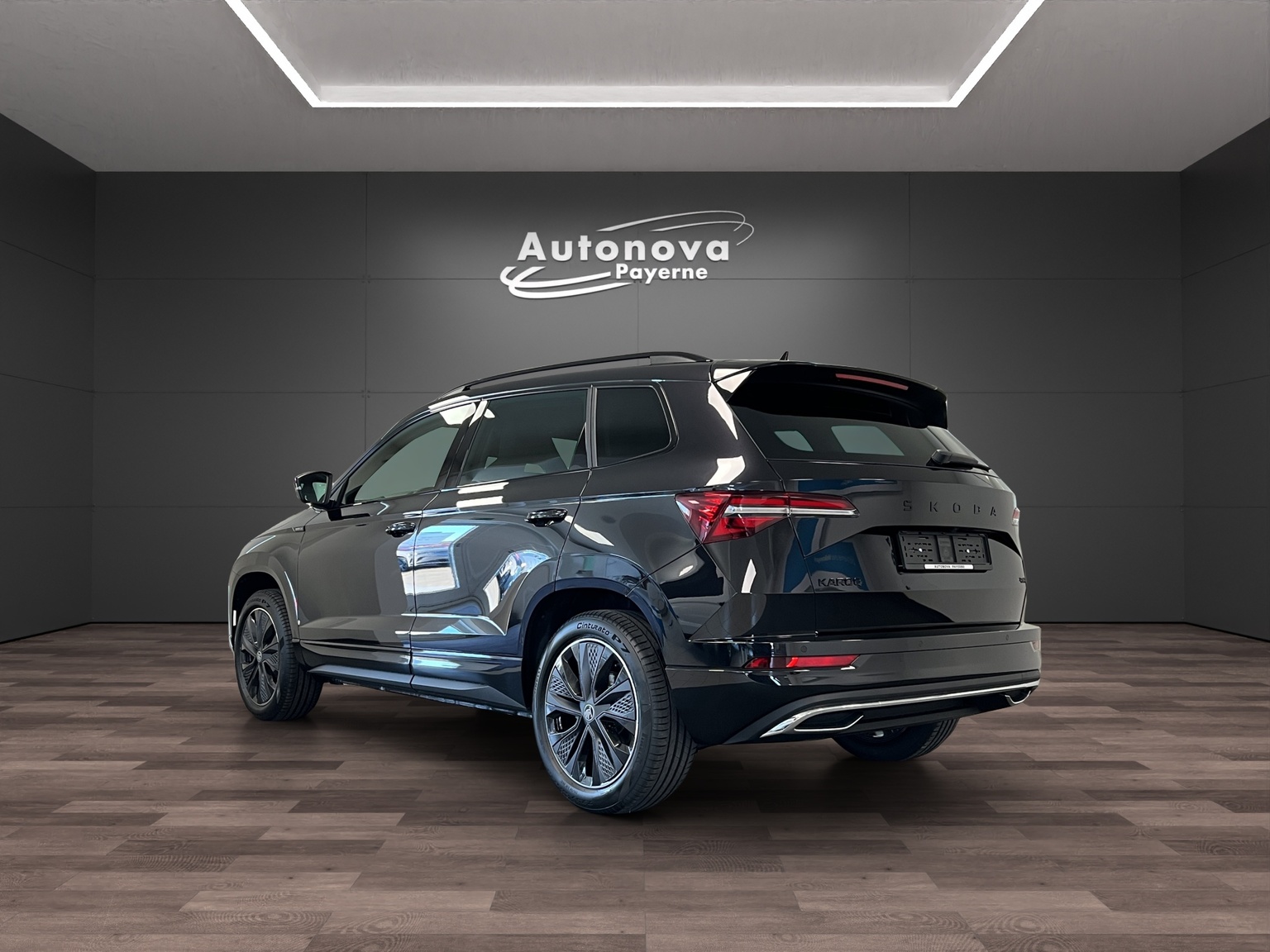 SKODA Karoq 2.0 TSI Dynamic Limited Edition 4x4 DSG-image-3