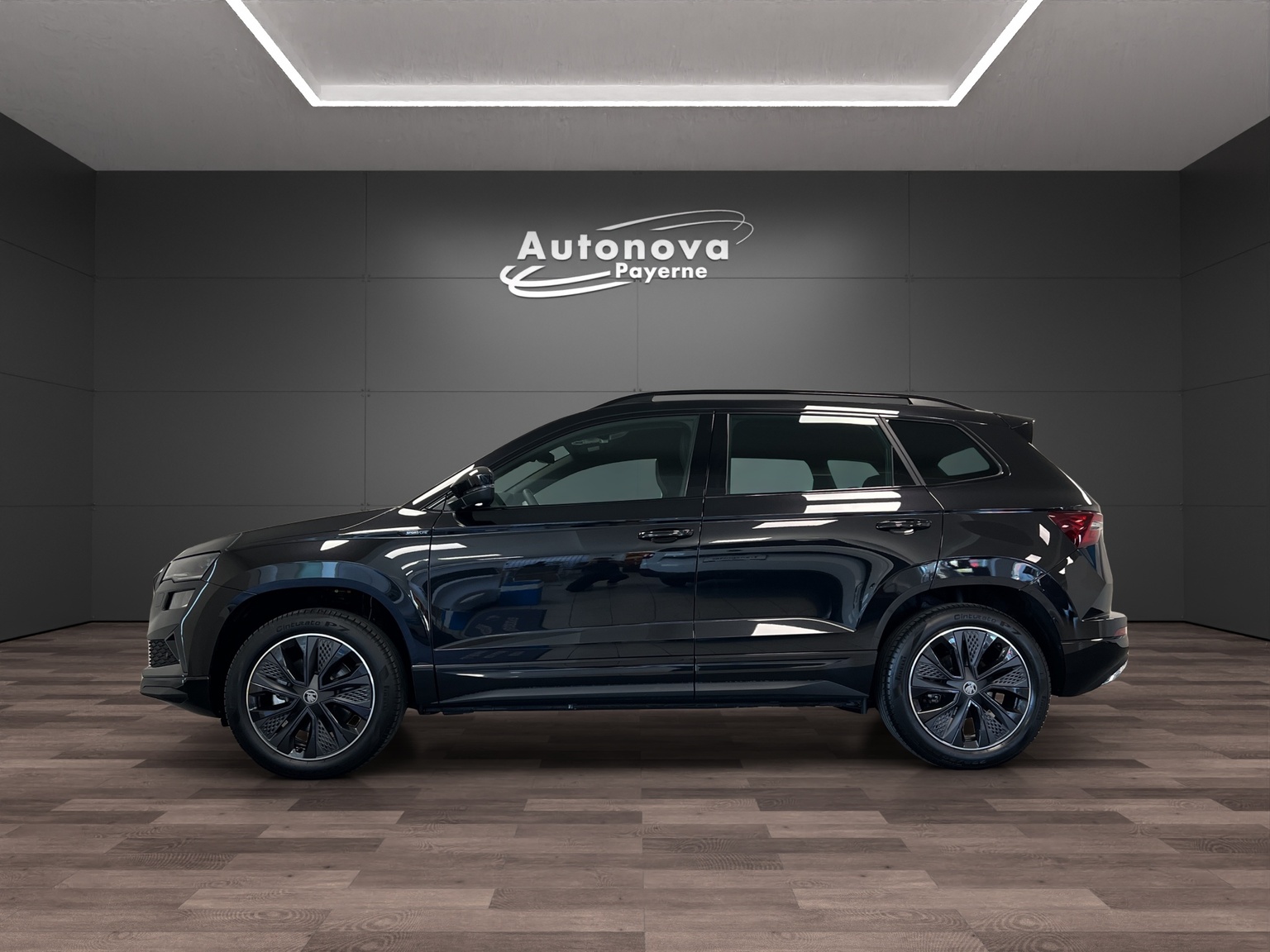 SKODA Karoq 2.0 TSI Dynamic Limited Edition 4x4 DSG-image-2