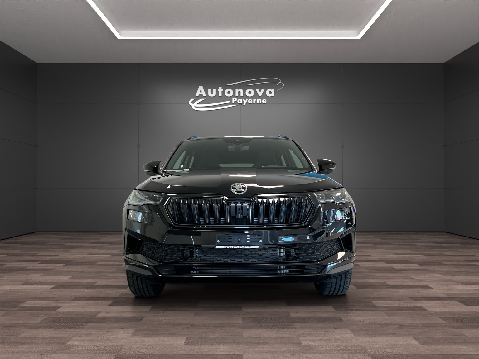 SKODA Karoq 2.0 TSI Dynamic Limited Edition 4x4 DSG-image-1
