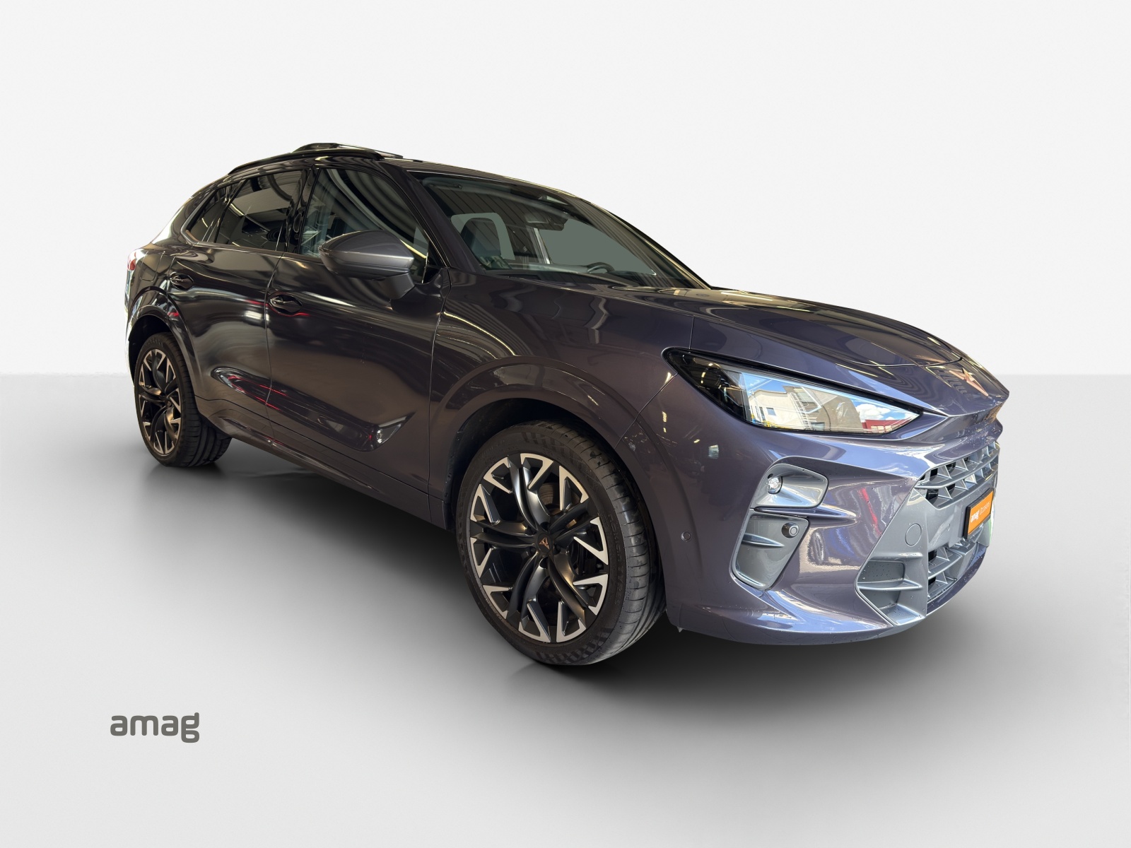 CUPRA Terramar 2.0 TSI DSG 4Drive VZ-image-6