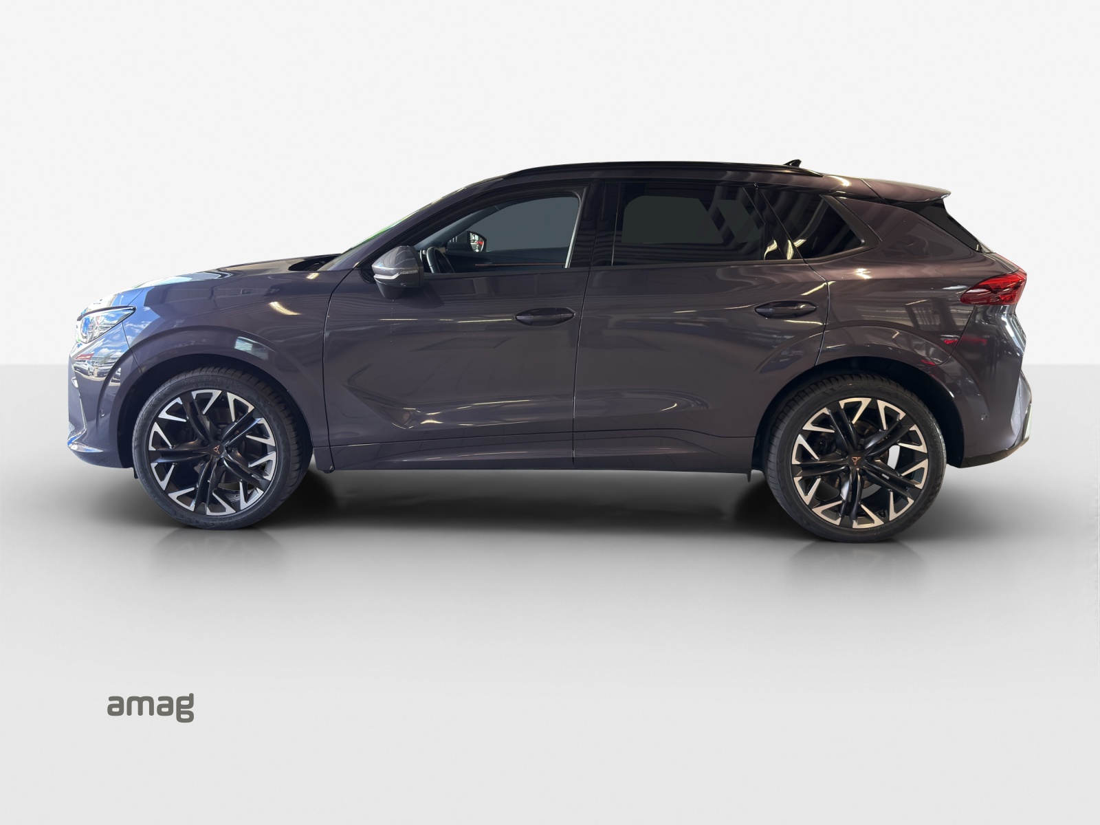 CUPRA Terramar 2.0 TSI DSG 4Drive VZ-showroom-element-2