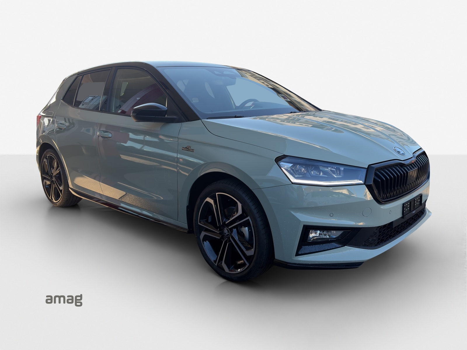 SKODA Fabia 1.0 TSI Monte Carlo DSG-image-5