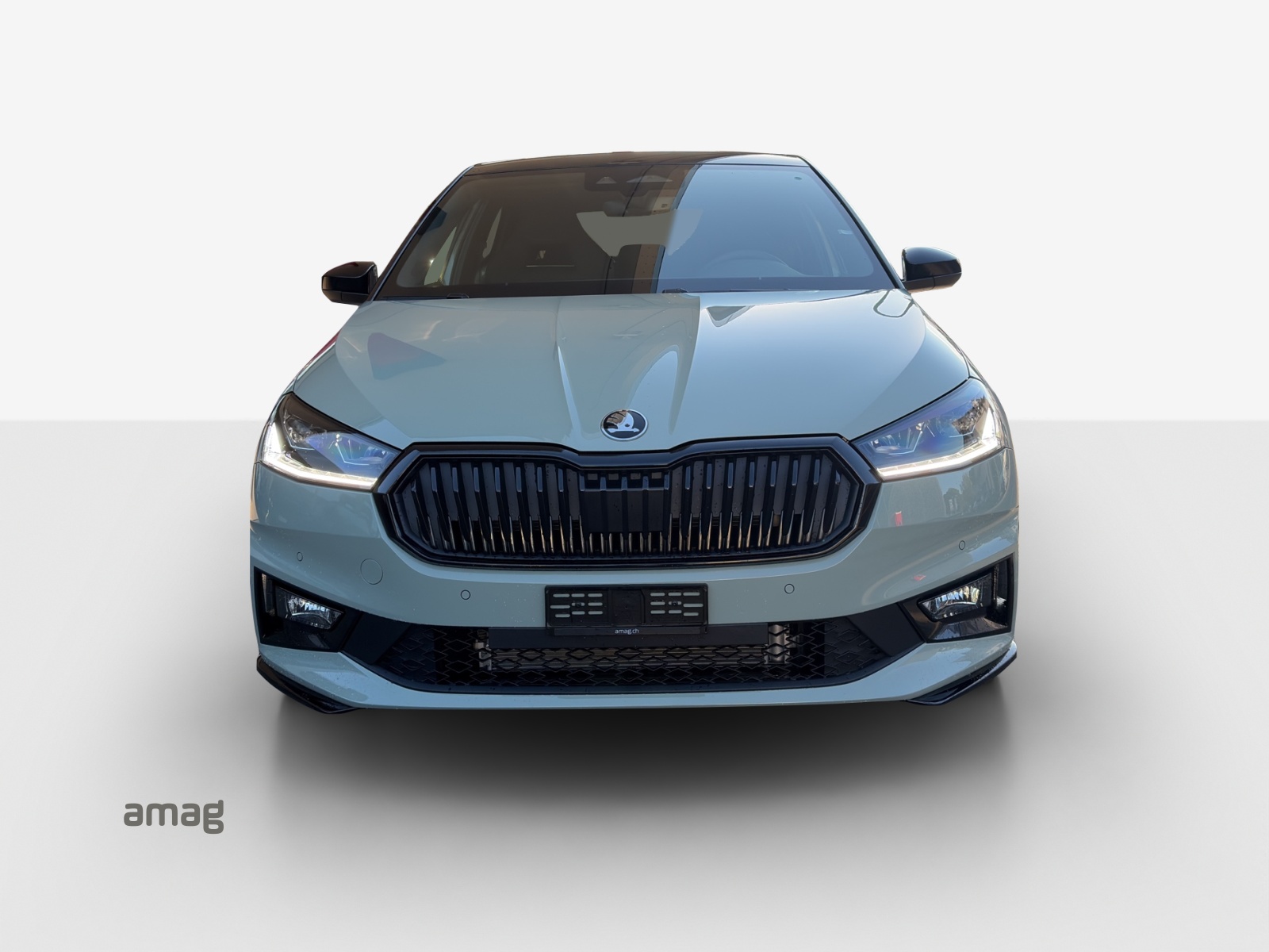 SKODA Fabia 1.0 TSI Monte Carlo DSG-image-6