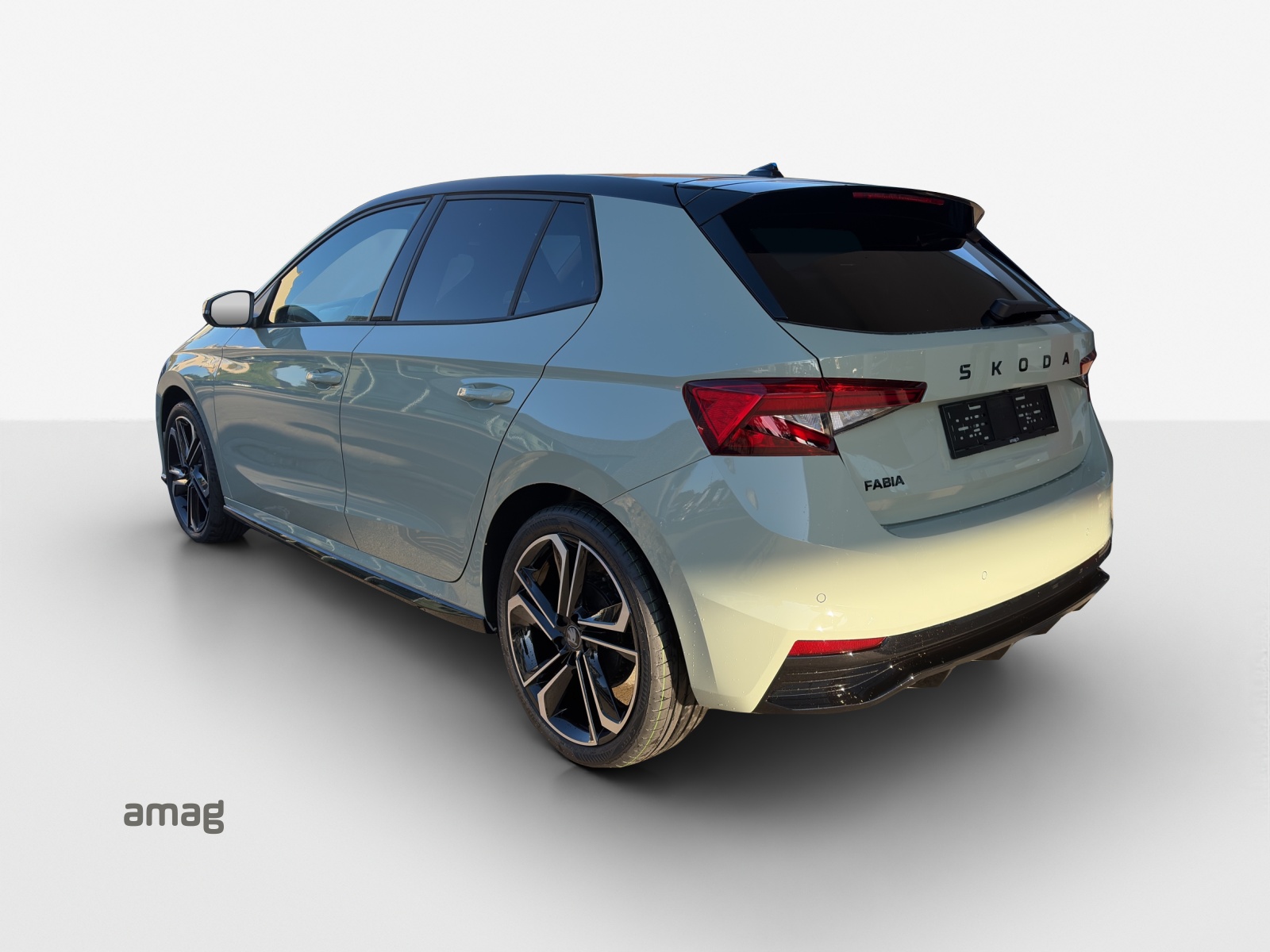 SKODA Fabia 1.0 TSI Monte Carlo DSG-image-2