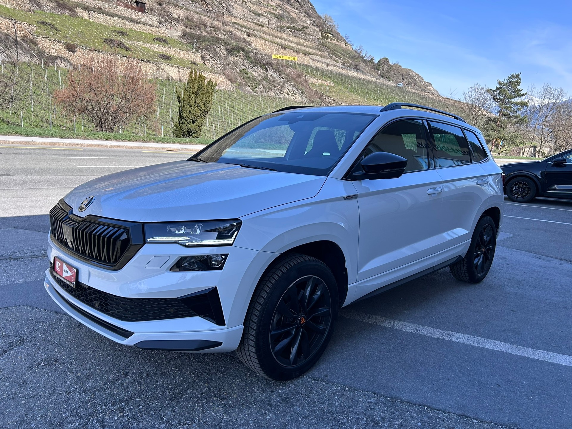SKODA Karoq 2.0 TSI SportLine 4x4 DSG-image-0