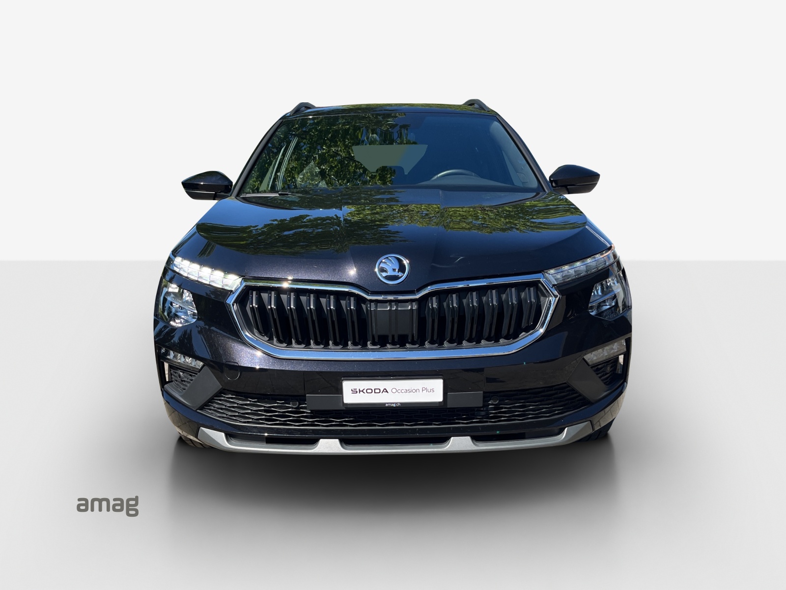 SKODA Kamiq 1.0 TSI Monte Carlo DSG-image-6