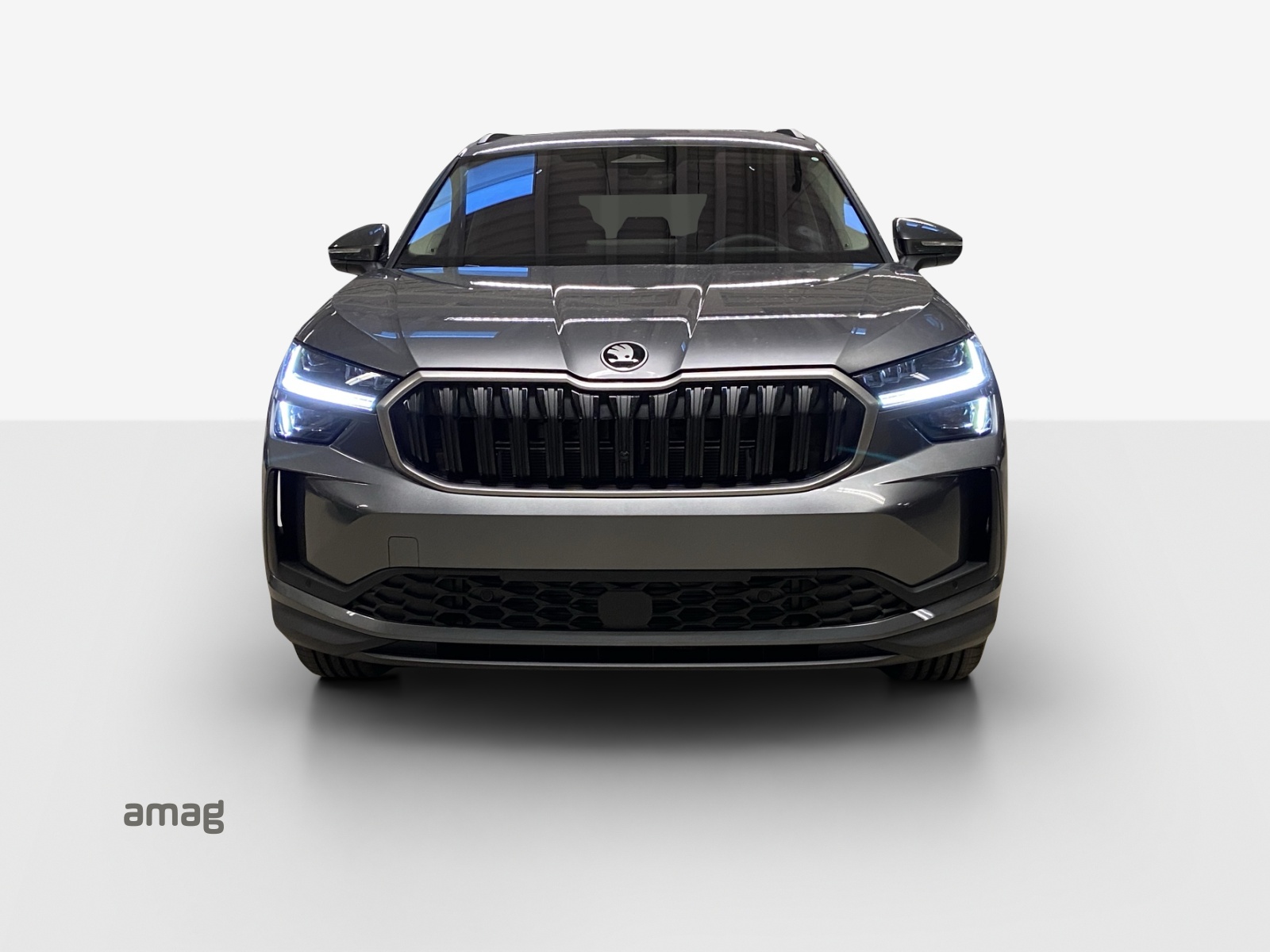 SKODA Kodiaq 2.0 TSI Selection 4x4-image-6