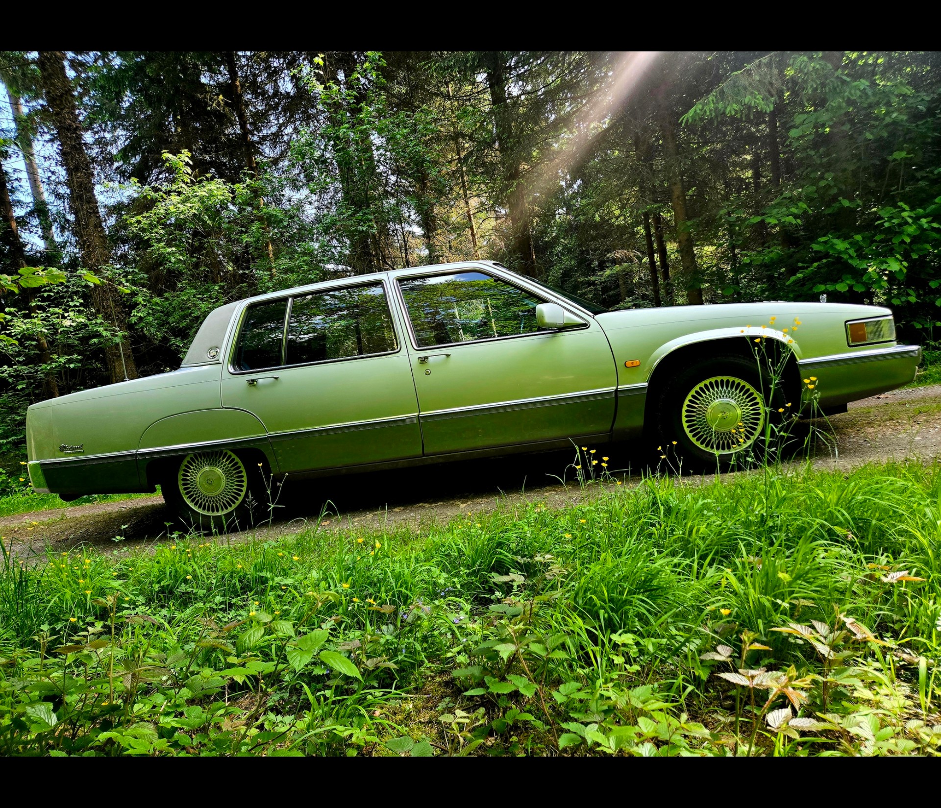 CADILLAC Deville 4.5 - Fleetwood Sixty Special-image-11