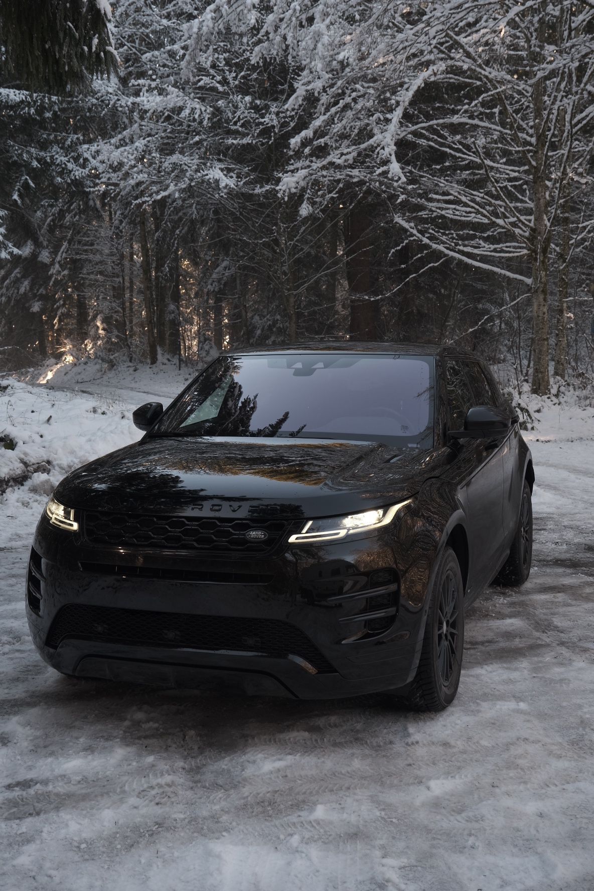 LAND ROVER Range Rover Evoque R-Dynamic P 200 SE AT9-image-4