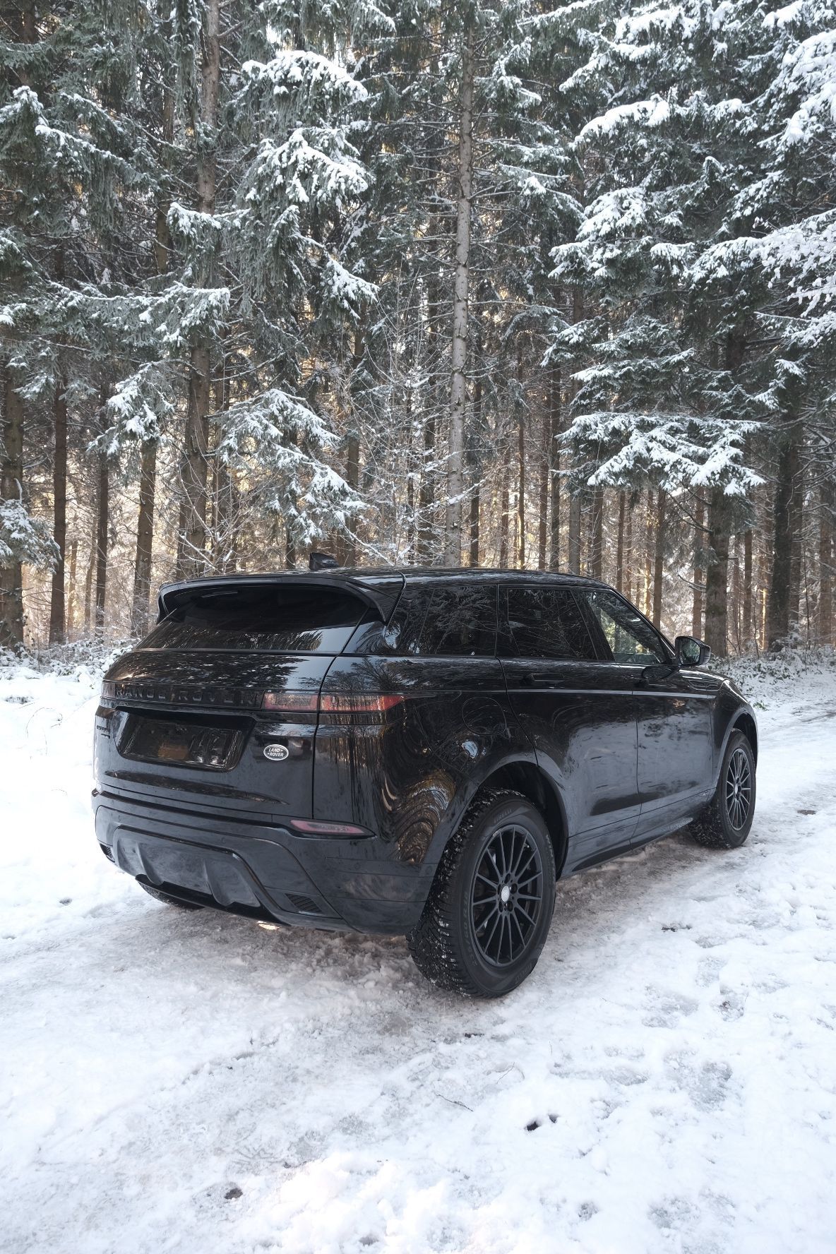 LAND ROVER Range Rover Evoque R-Dynamic P 200 SE AT9-image-6