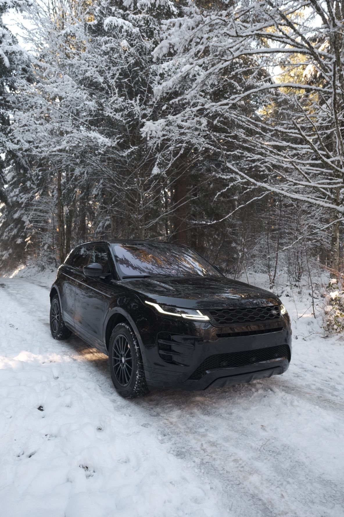 LAND ROVER Range Rover Evoque R-Dynamic P 200 SE AT9-image-2
