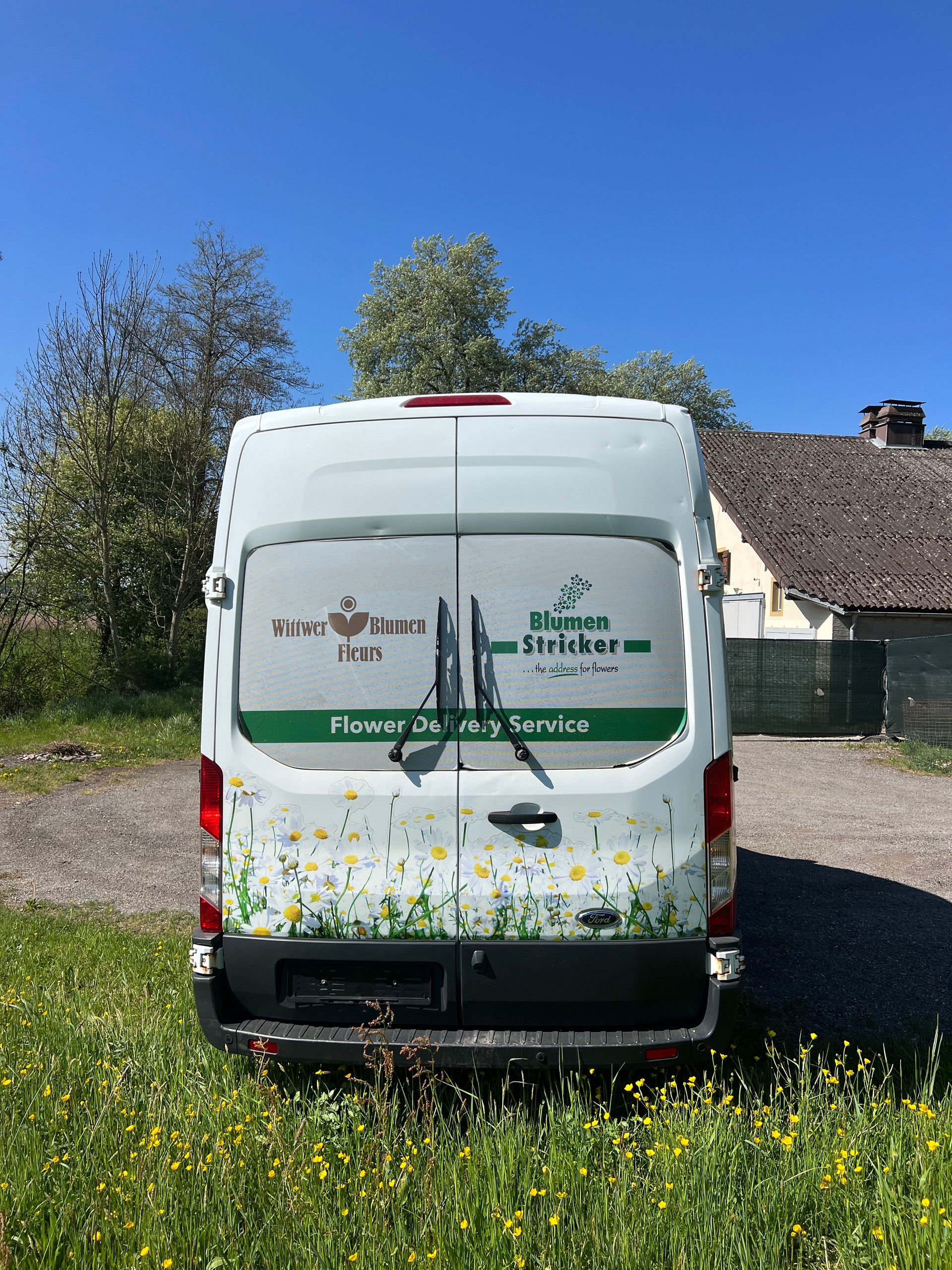 FORD Transit-image-7